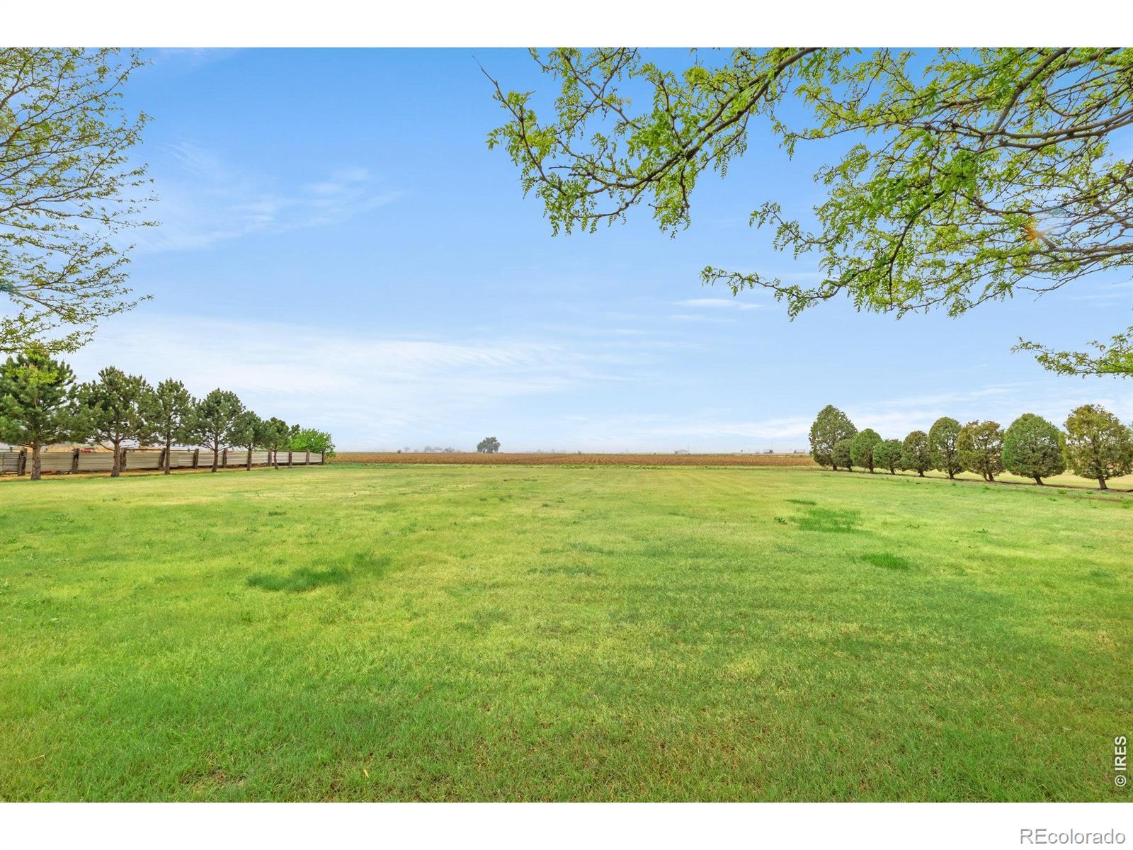 MLS Image #5 for 18337  county road 25 ,brush, Colorado