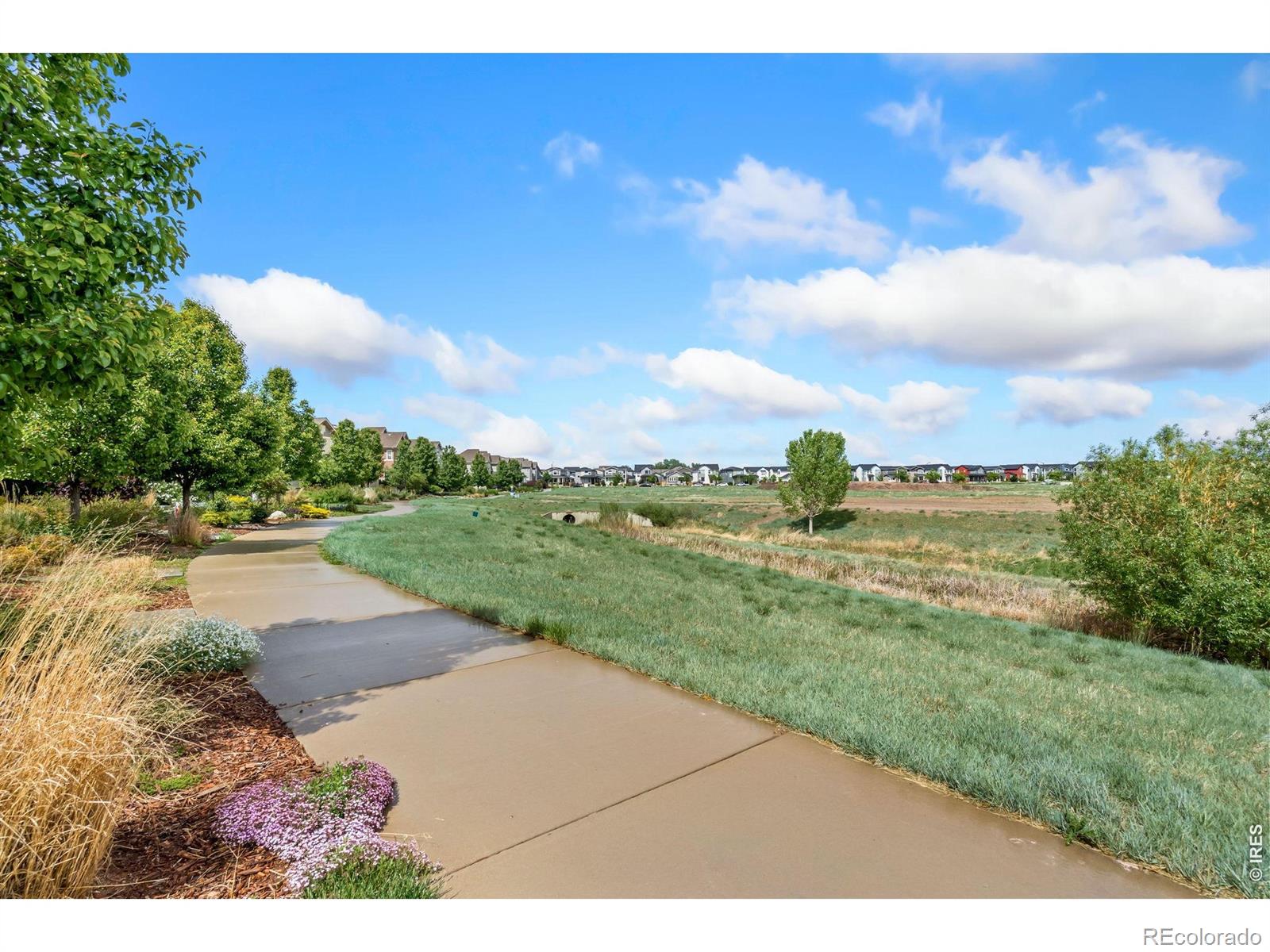 MLS Image #35 for 302  skyraider way,fort collins, Colorado