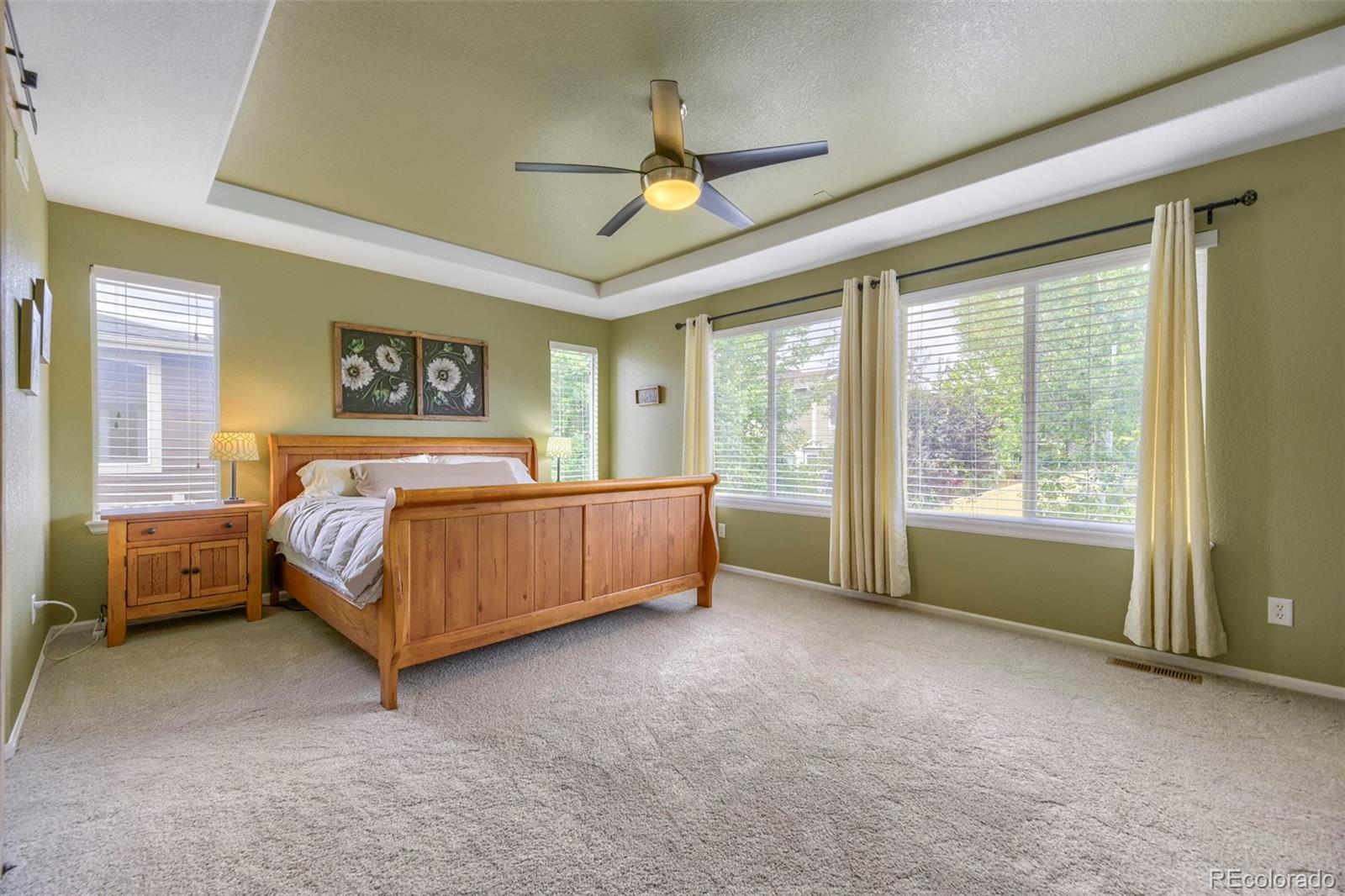 MLS Image #14 for 10829  cedar brook lane,highlands ranch, Colorado