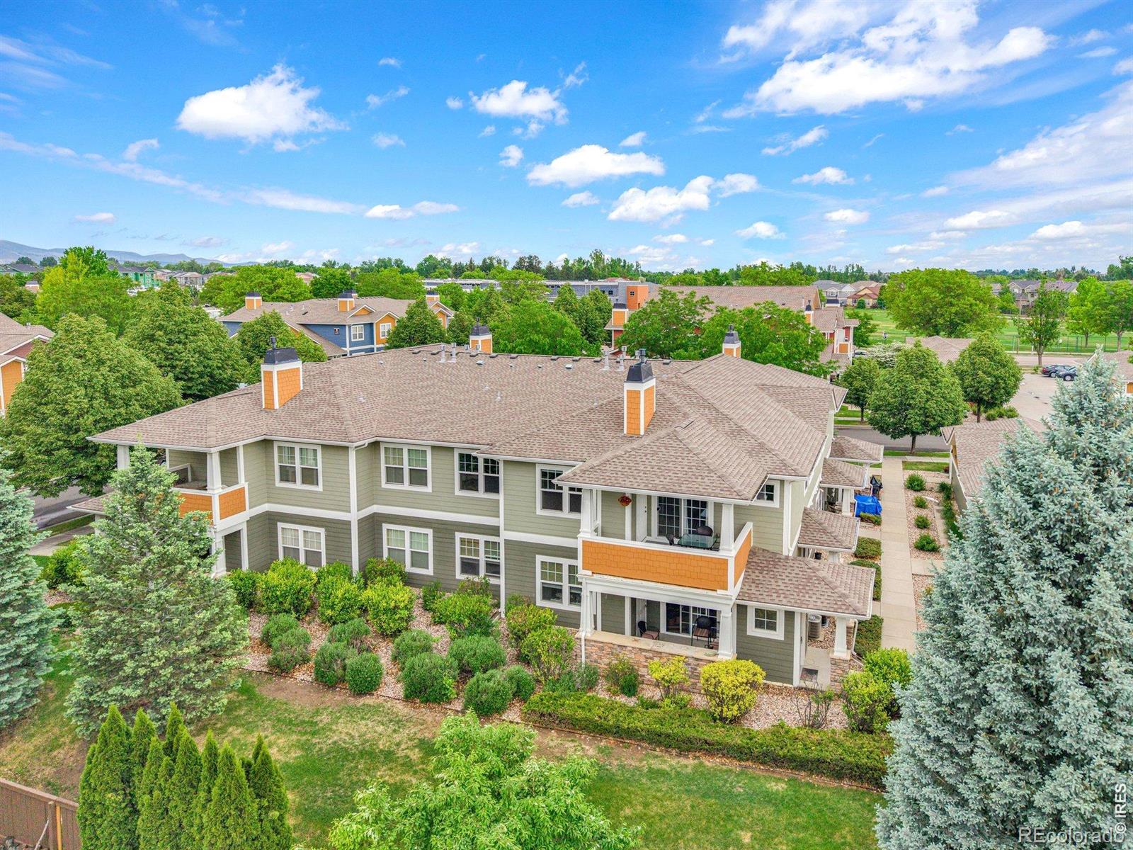 MLS Image #2 for 2203  owens avenue,fort collins, Colorado