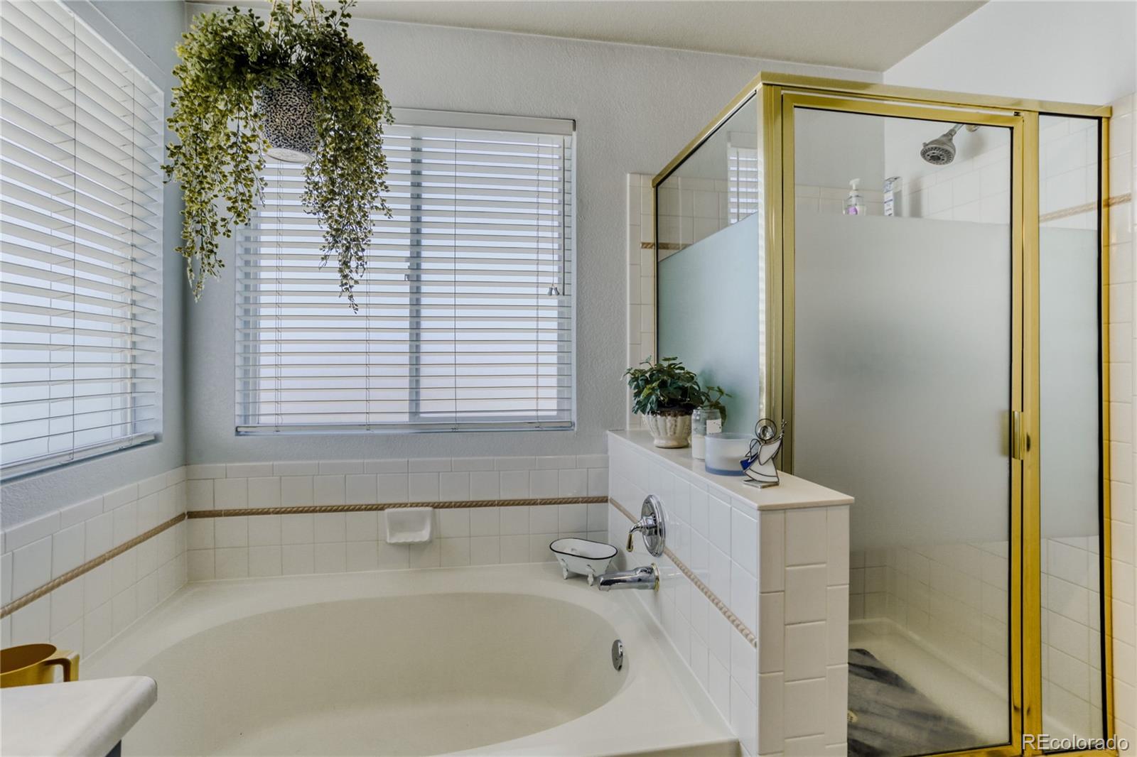 MLS Image #16 for 5205 s meadow lark drive,castle rock, Colorado