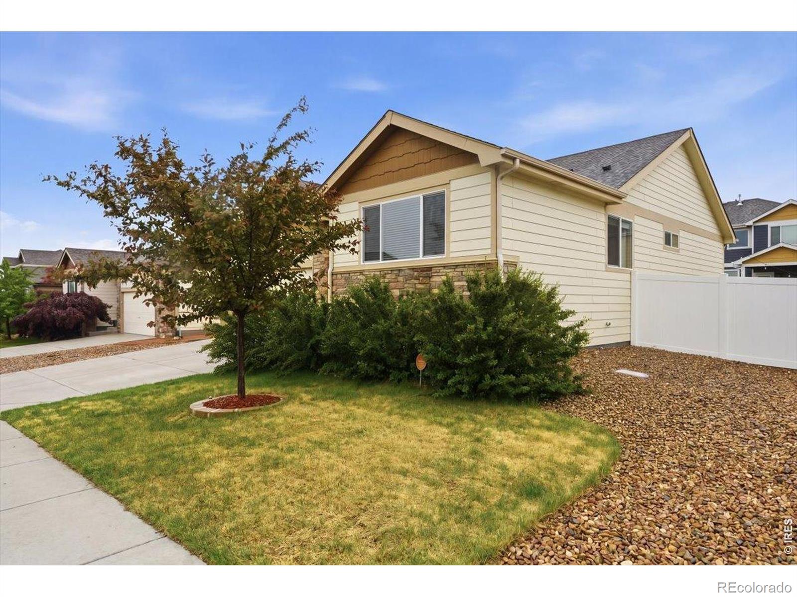 MLS Image #3 for 323  torreys drive,severance, Colorado