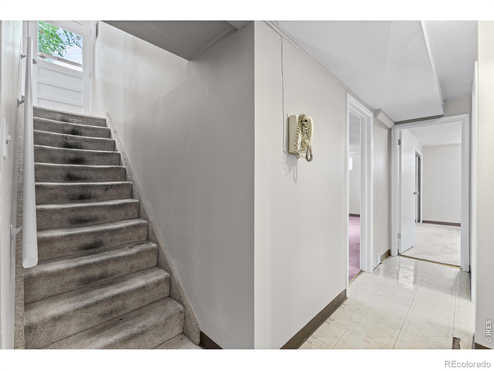 MLS Image #16 for 10674  grant drive,northglenn, Colorado