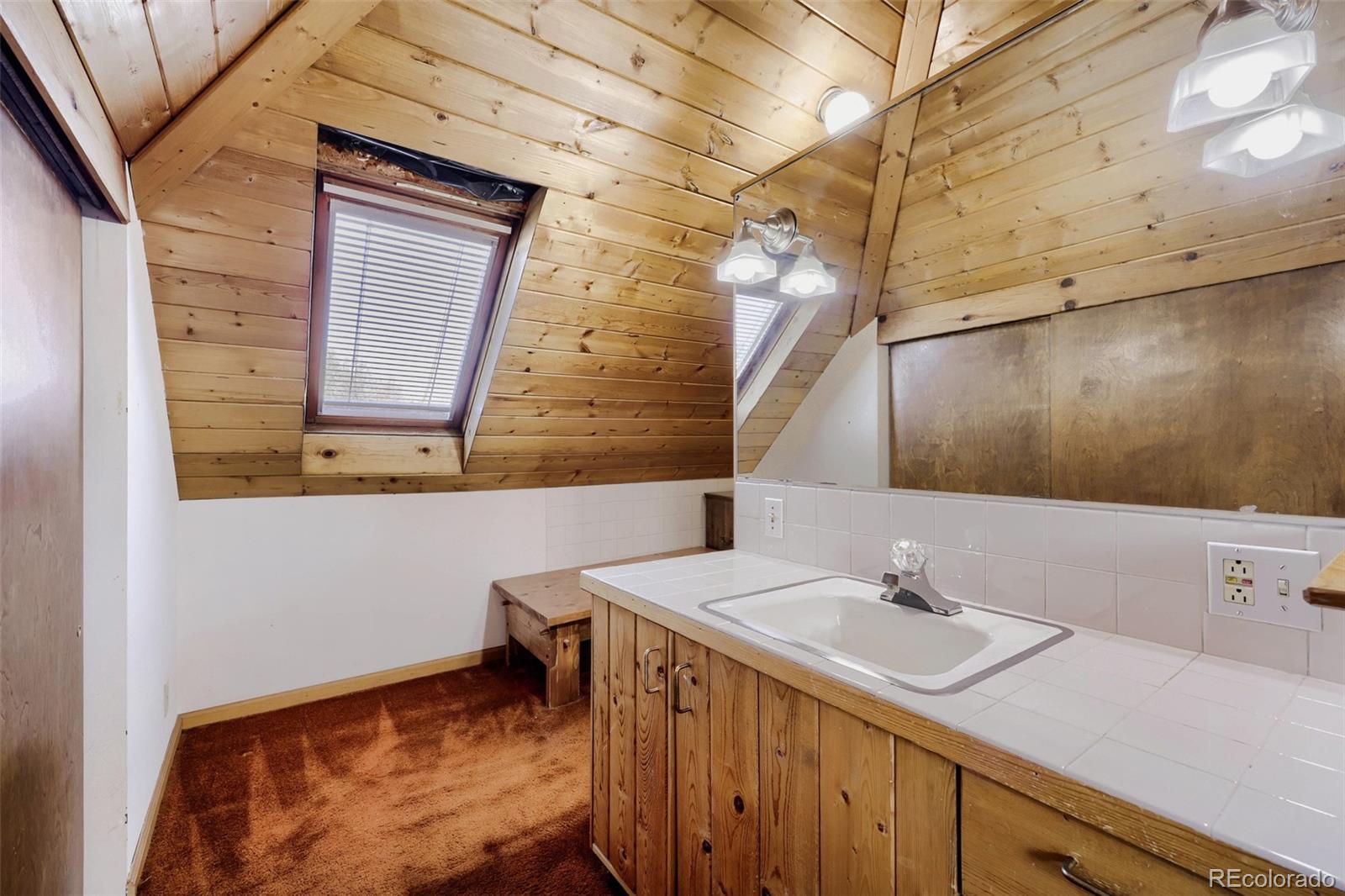 MLS Image #19 for 1217  josephine street,denver, Colorado