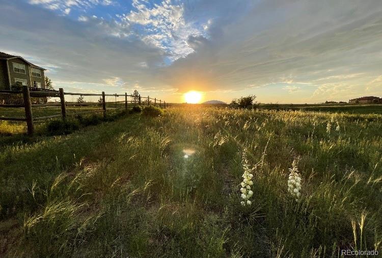 MLS Image #13 for 2364  elkhorn ranch street,parker, Colorado