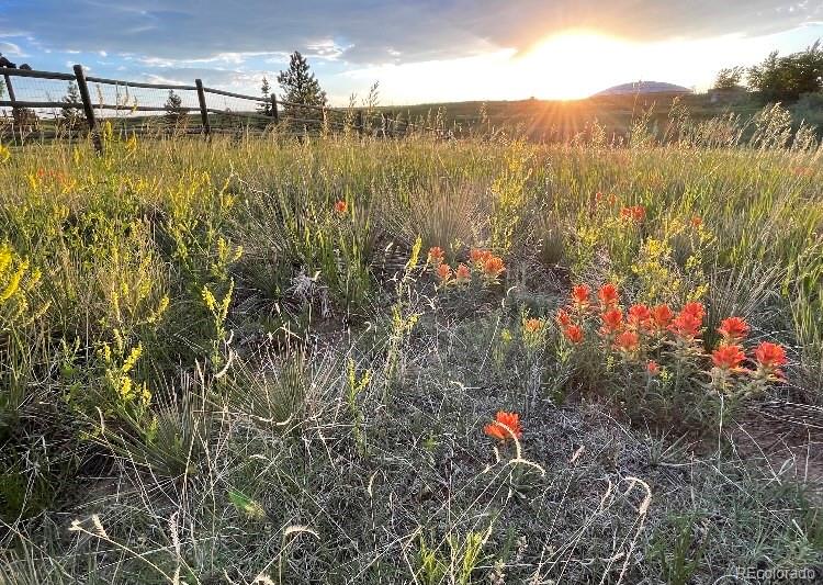 MLS Image #14 for 2364  elkhorn ranch street,parker, Colorado