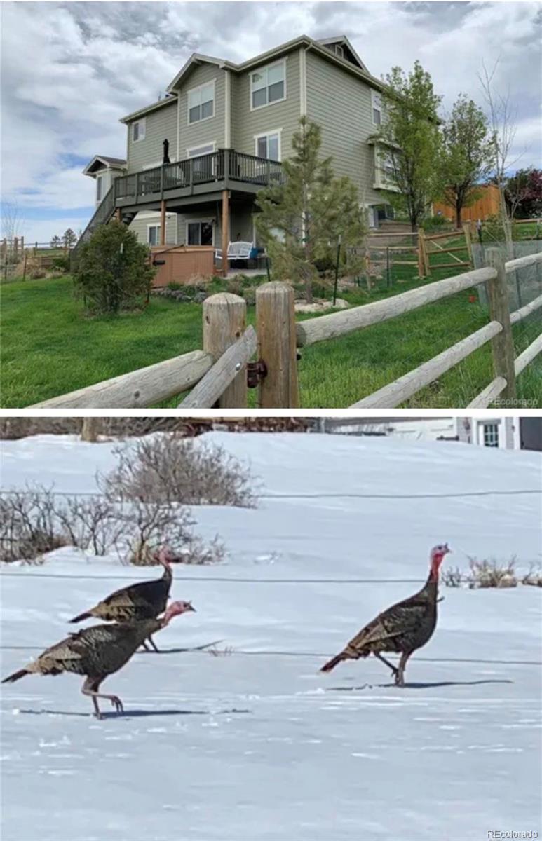 MLS Image #32 for 2364  elkhorn ranch street,parker, Colorado