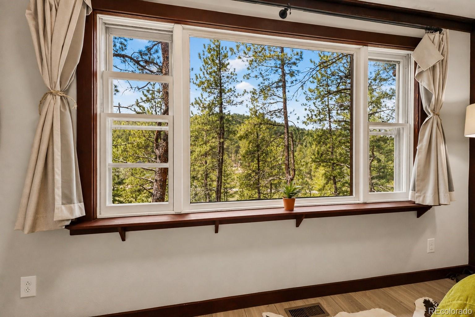 MLS Image #7 for 7520 s blue creek road,evergreen, Colorado