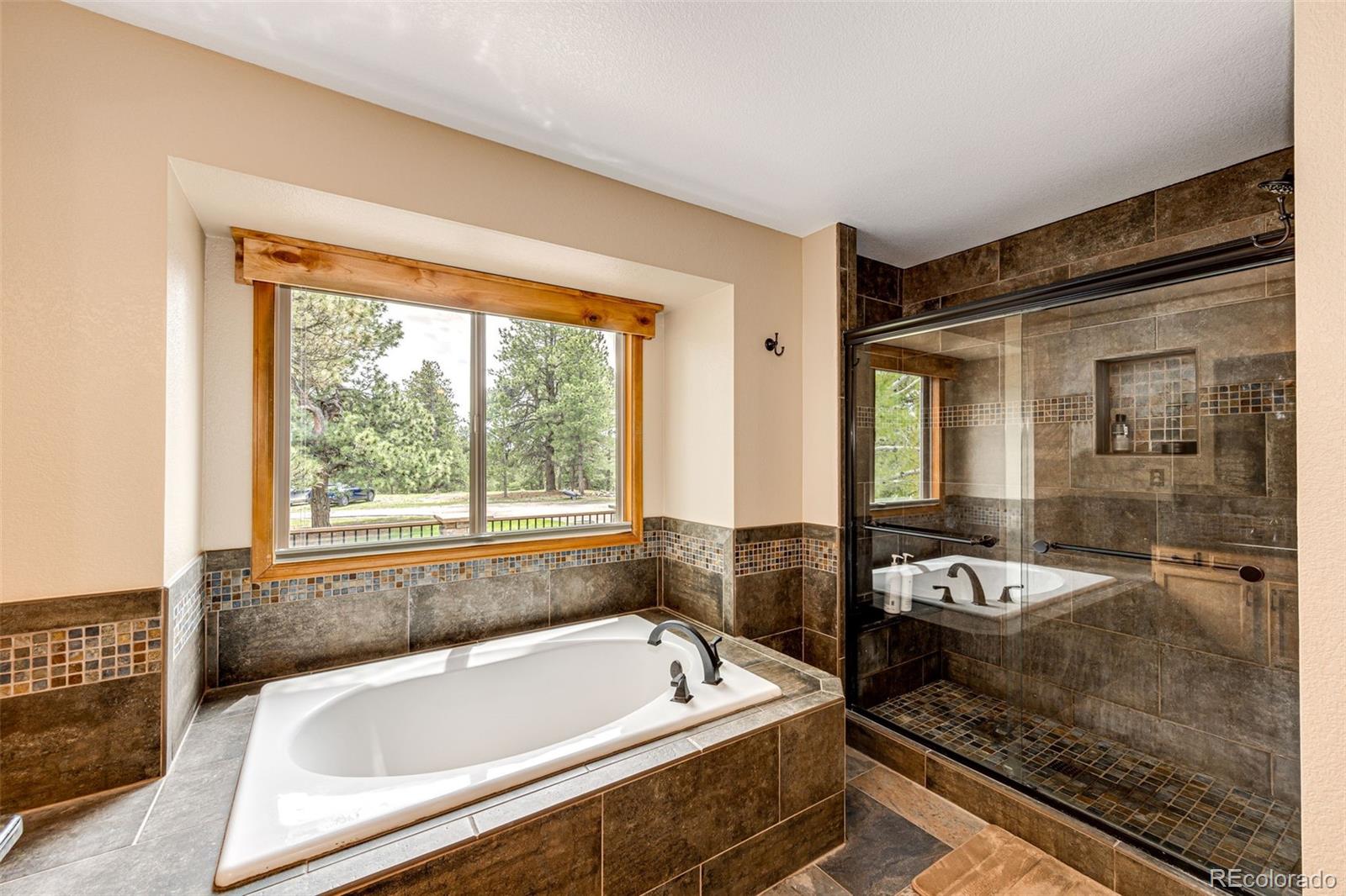 MLS Image #18 for 35723  elkridge run,elizabeth, Colorado