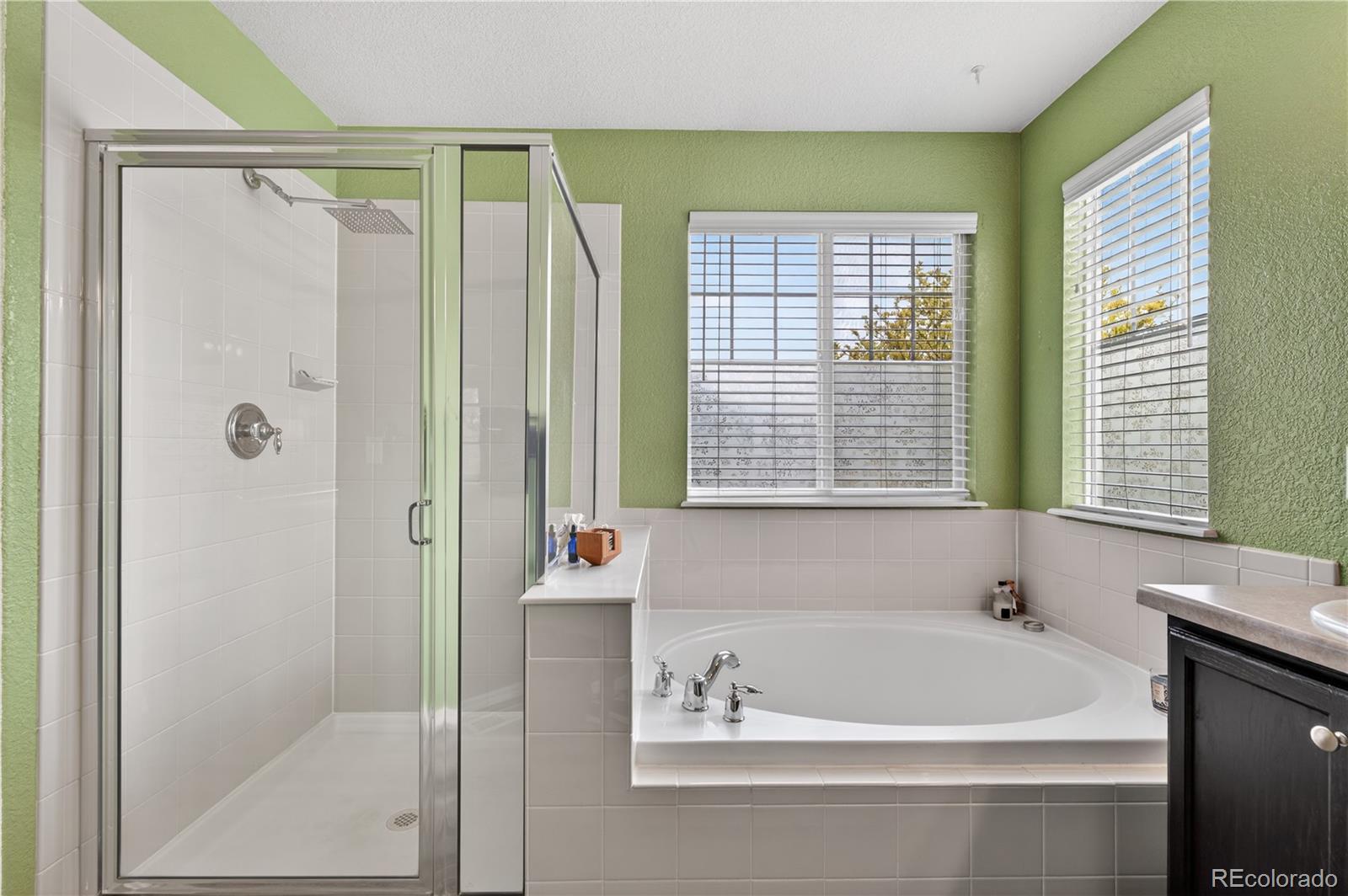 MLS Image #21 for 10672  riverbrook circle,highlands ranch, Colorado