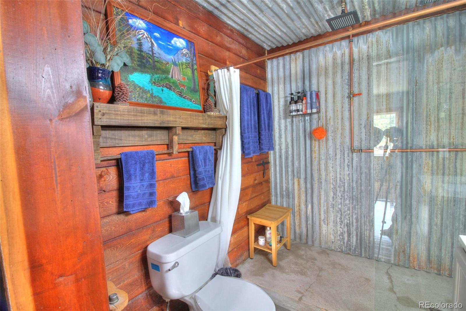 MLS Image #16 for 388  clark road,bailey, Colorado