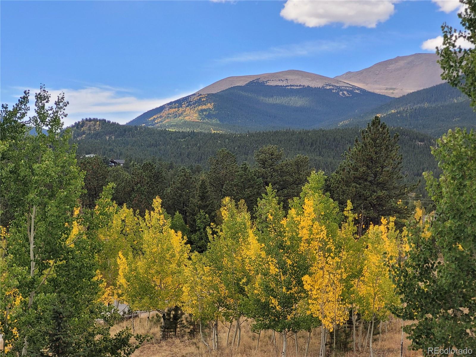 MLS Image #41 for 388  clark road,bailey, Colorado