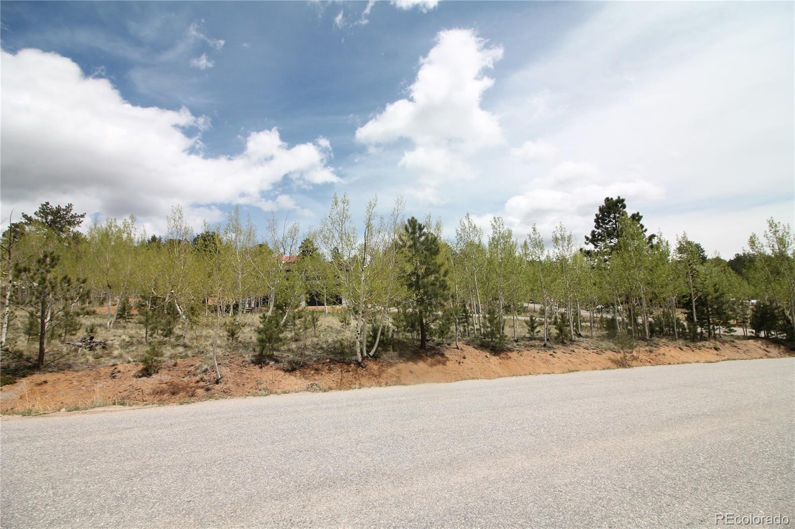 MLS Image #47 for 388  clark road,bailey, Colorado