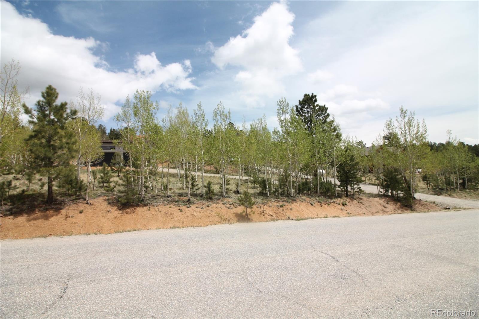 MLS Image #48 for 388  clark road,bailey, Colorado