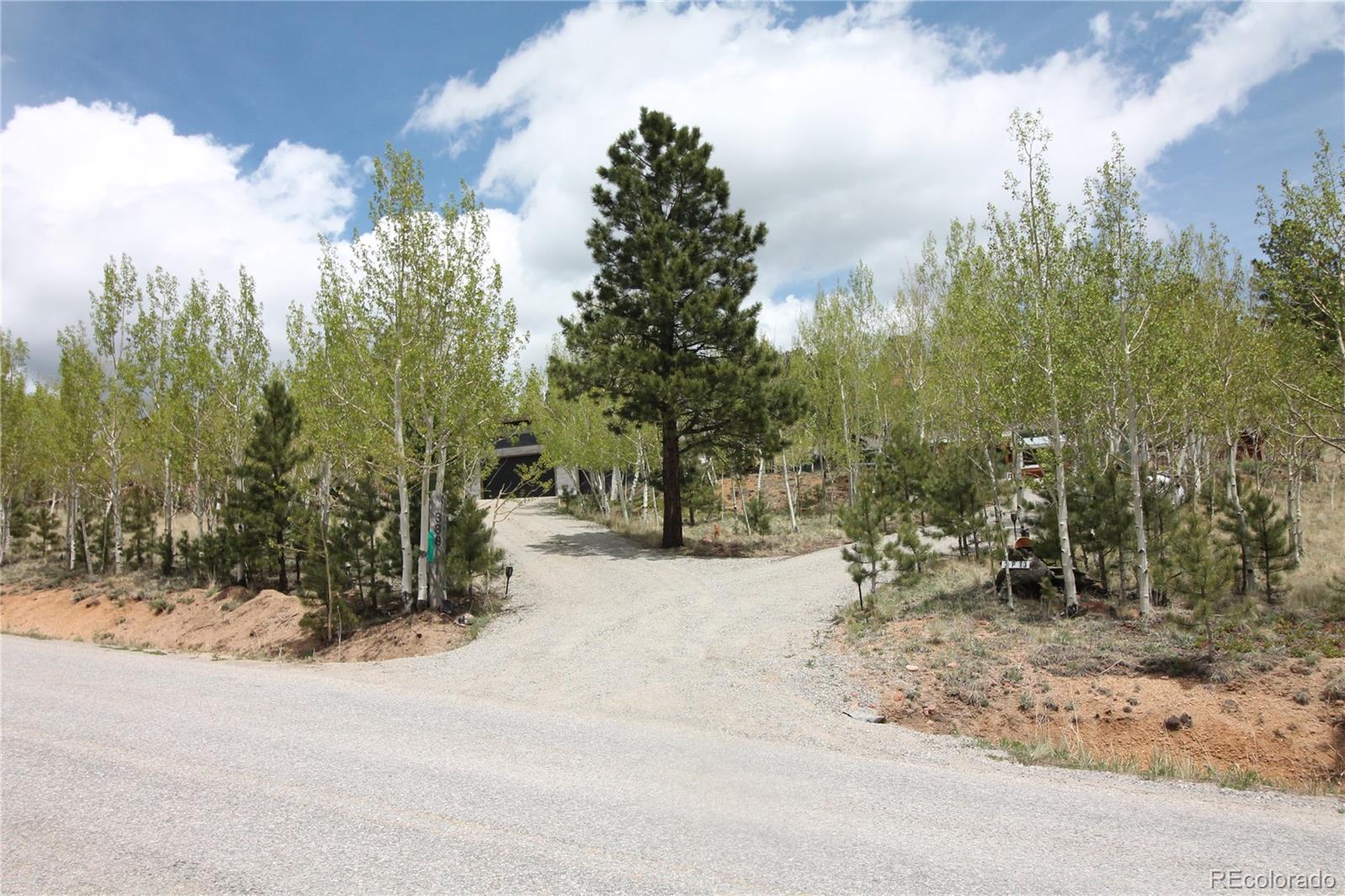 MLS Image #49 for 388  clark road,bailey, Colorado