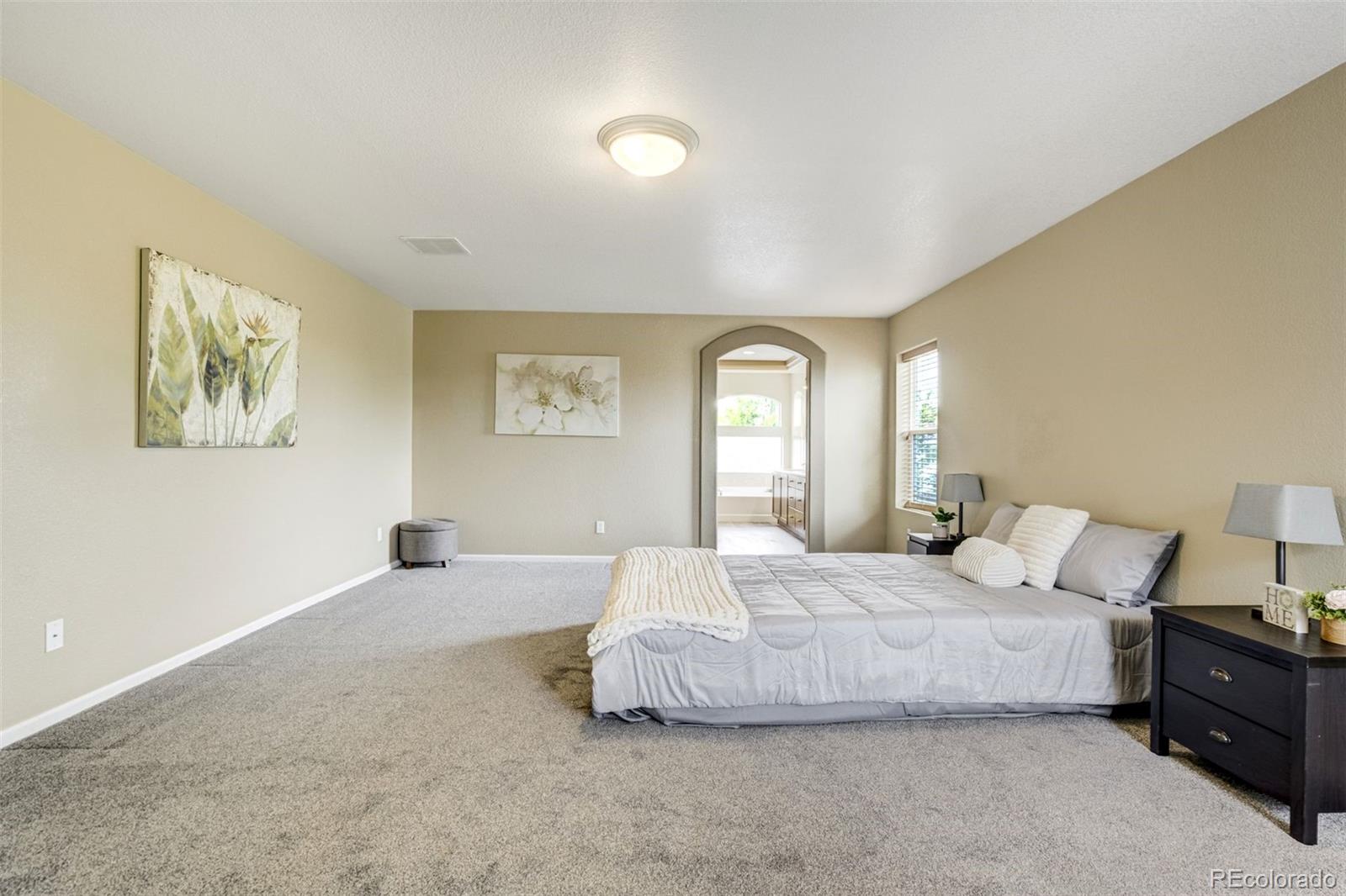 MLS Image #18 for 2317  cactus bloom court,castle rock, Colorado