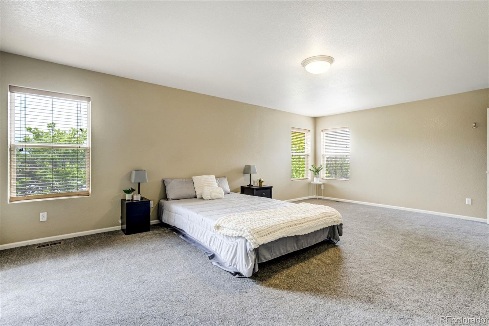 MLS Image #19 for 2317  cactus bloom court,castle rock, Colorado