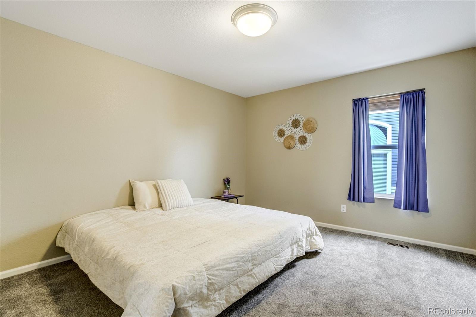 MLS Image #24 for 2317  cactus bloom court,castle rock, Colorado