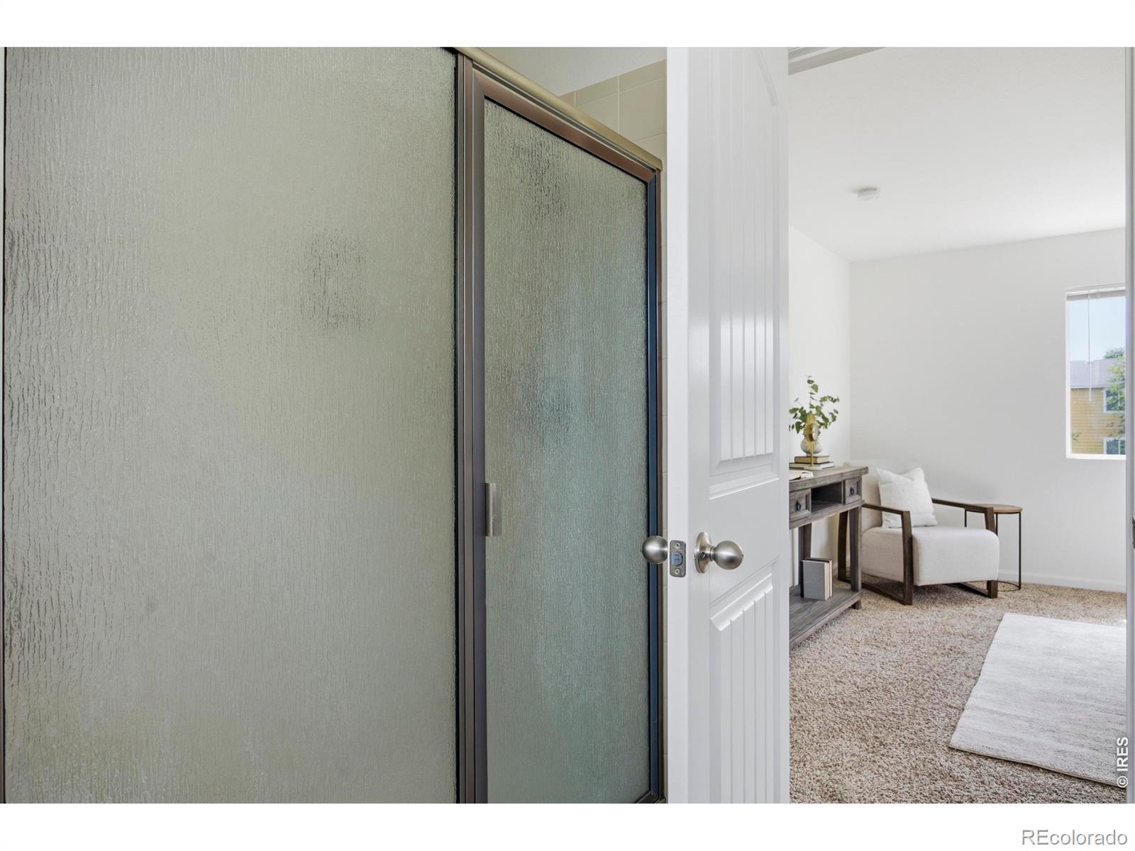 MLS Image #19 for 153  brass court,loveland, Colorado