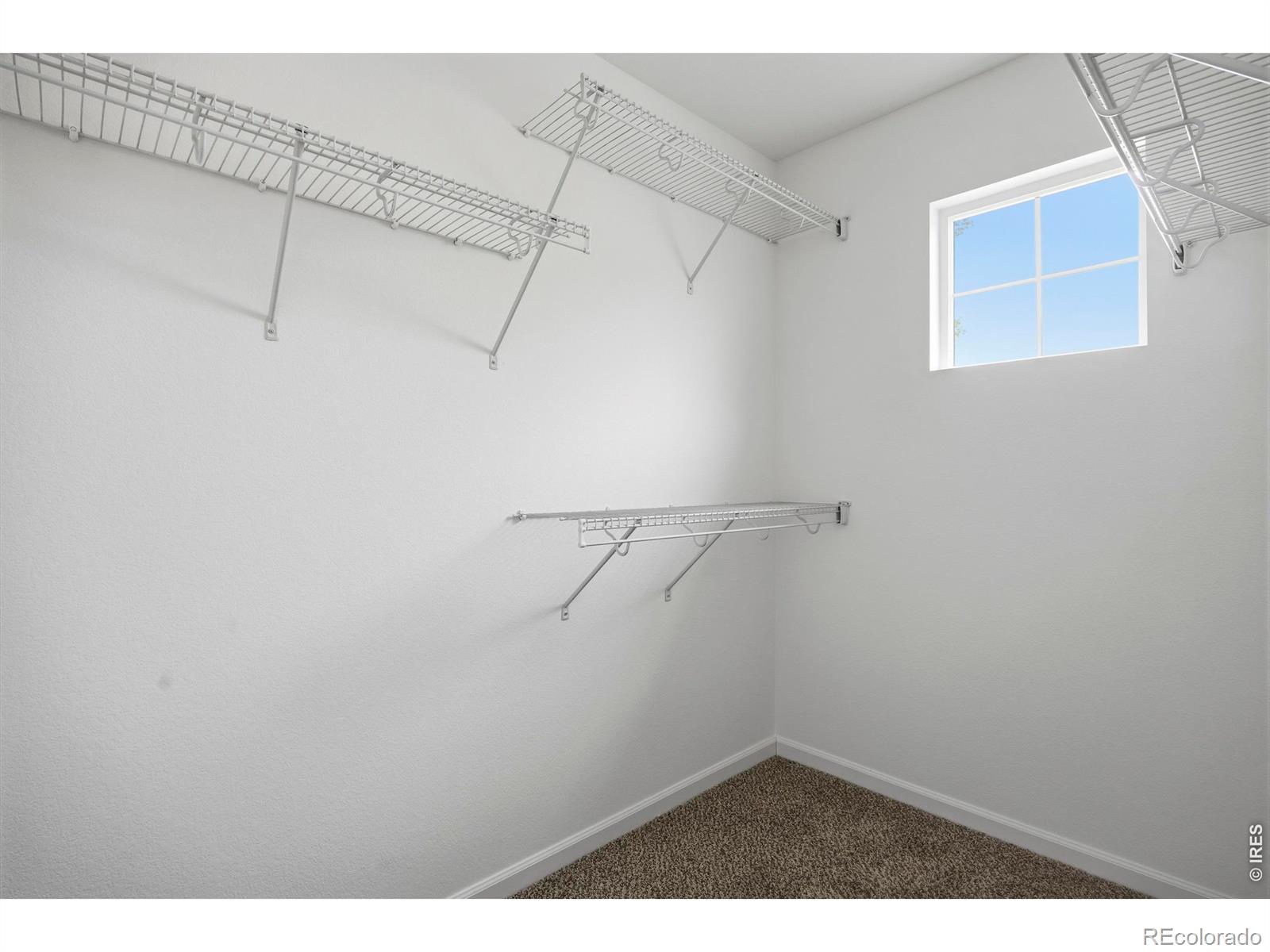 MLS Image #24 for 153  brass court,loveland, Colorado