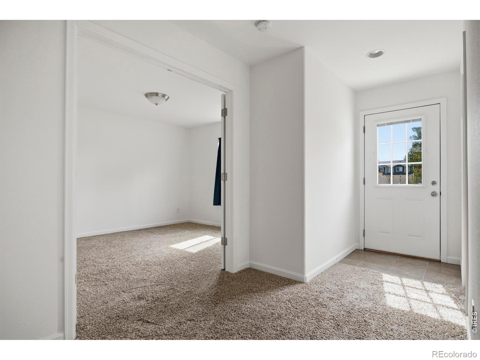 MLS Image #25 for 153  brass court,loveland, Colorado