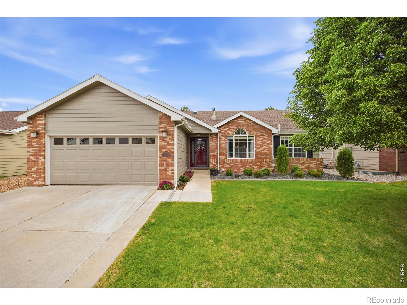 MLS Image #0 for 108  whitney bay ,windsor, Colorado