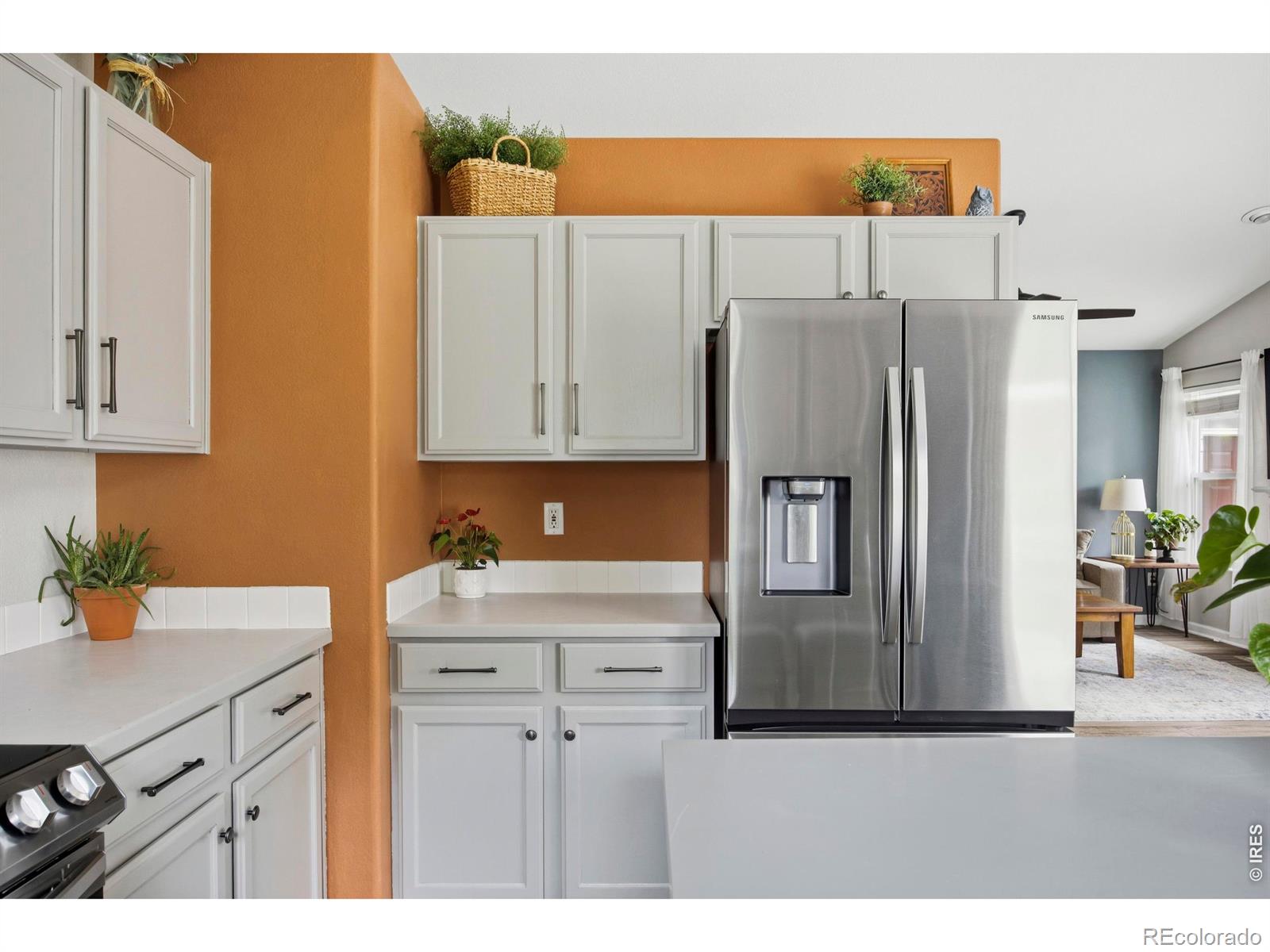 MLS Image #17 for 108  whitney bay ,windsor, Colorado