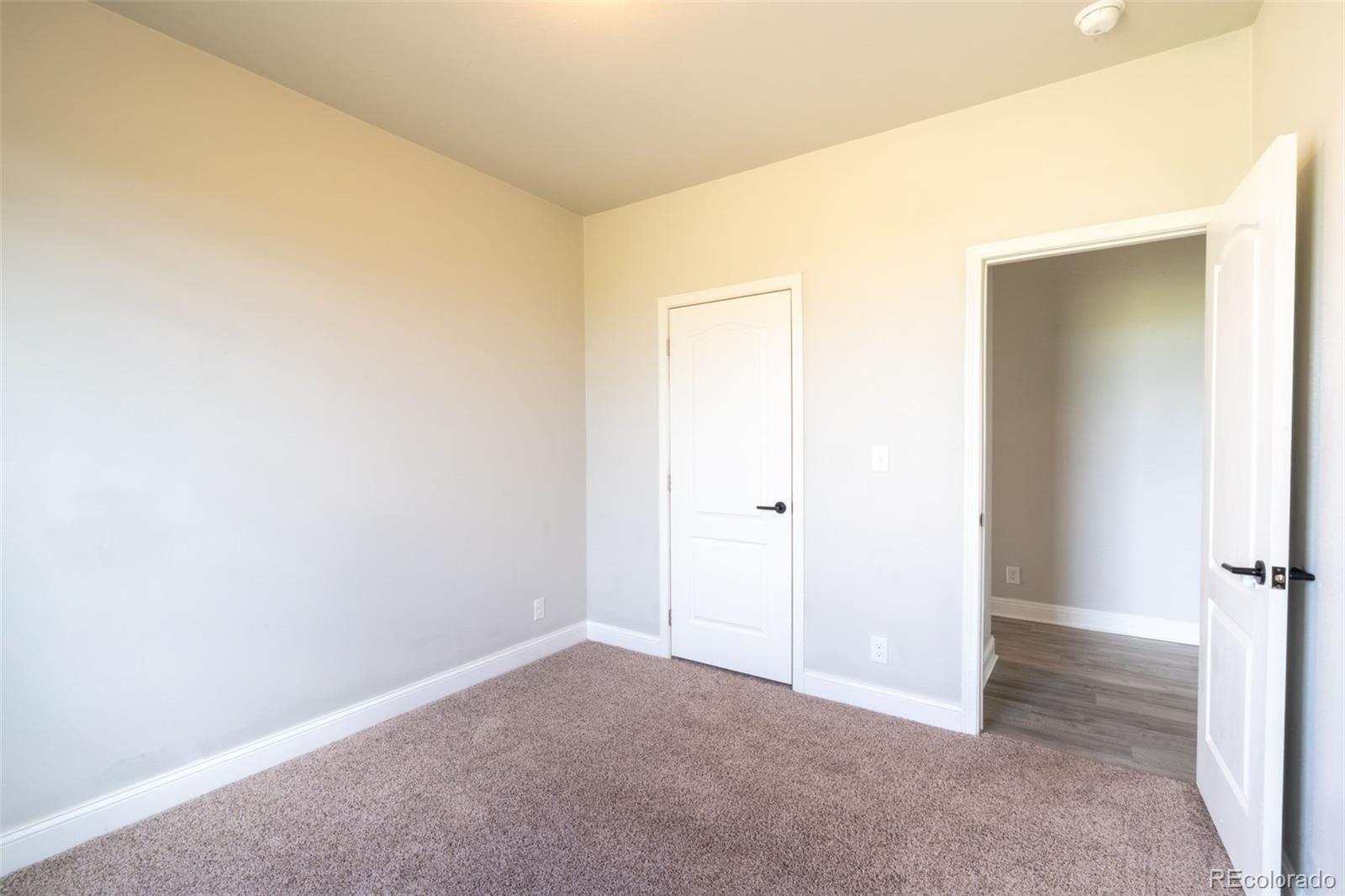 MLS Image #14 for 8036  flintwood road,parker, Colorado