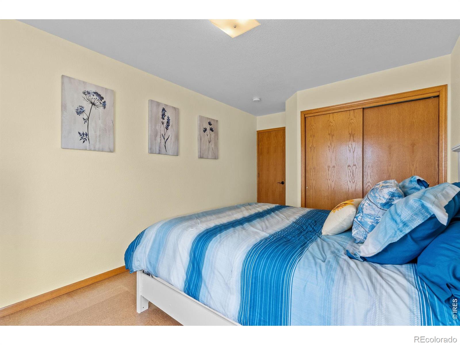 MLS Image #19 for 2243  breckenridge drive,berthoud, Colorado