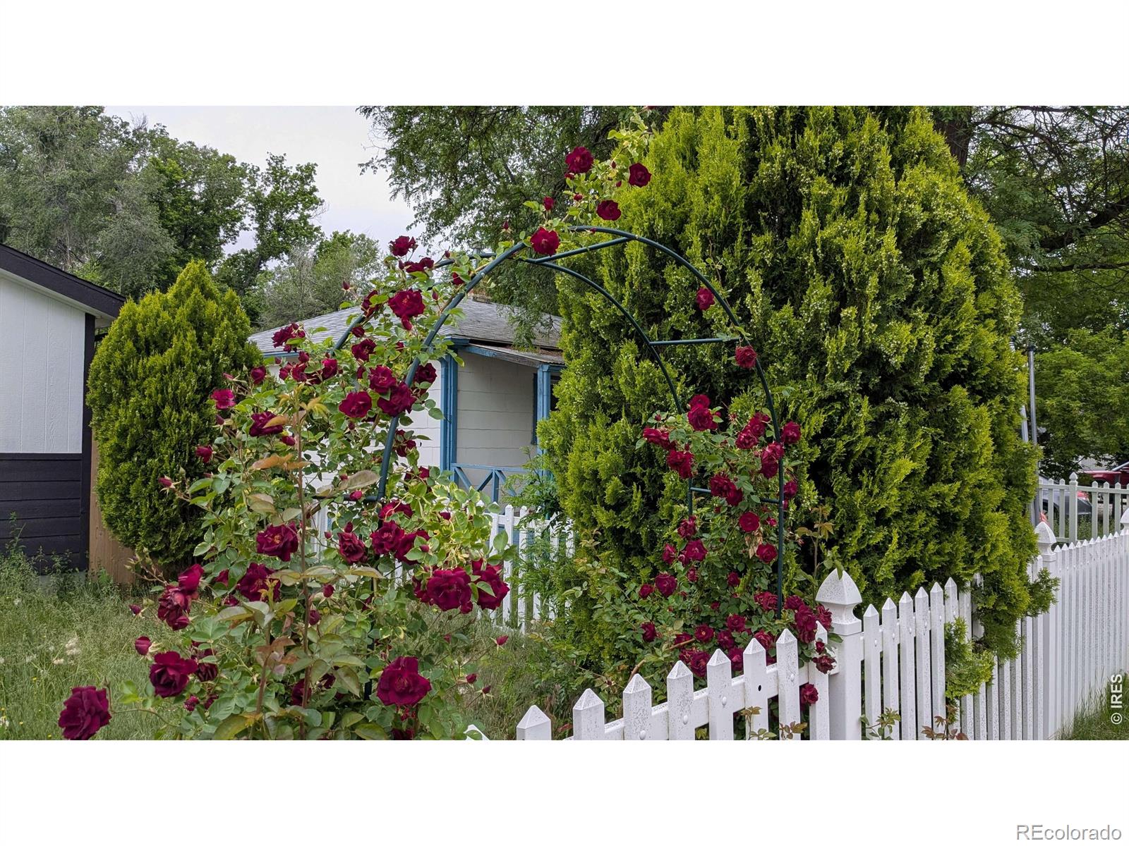 MLS Image #24 for 127 e saint clair avenue,longmont, Colorado