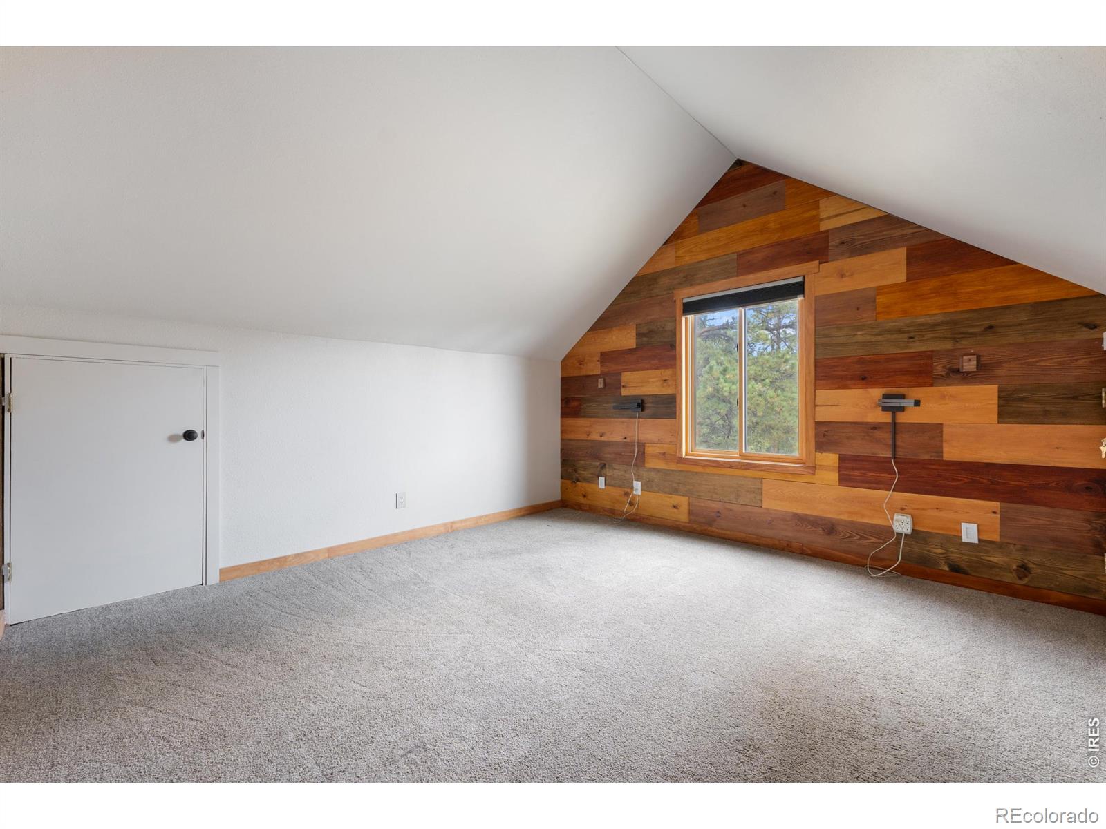 MLS Image #15 for 14534 s wandcrest drive,pine, Colorado