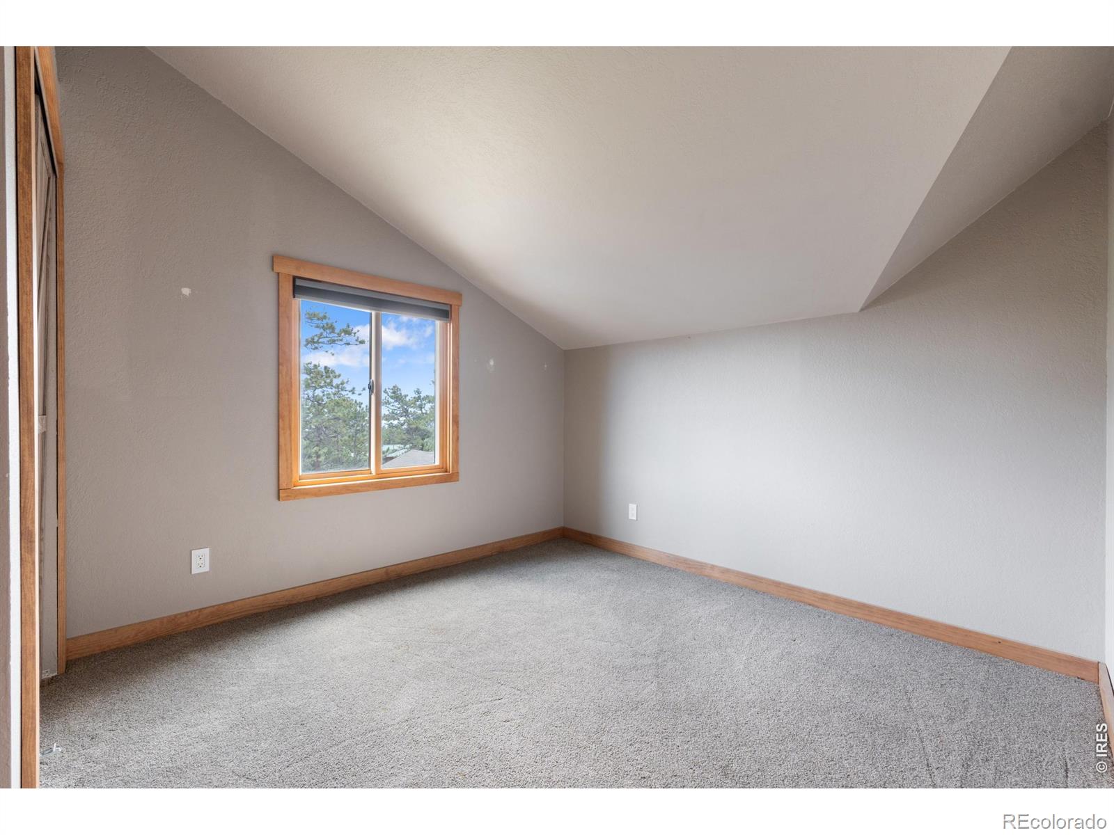 MLS Image #23 for 14534 s wandcrest drive,pine, Colorado