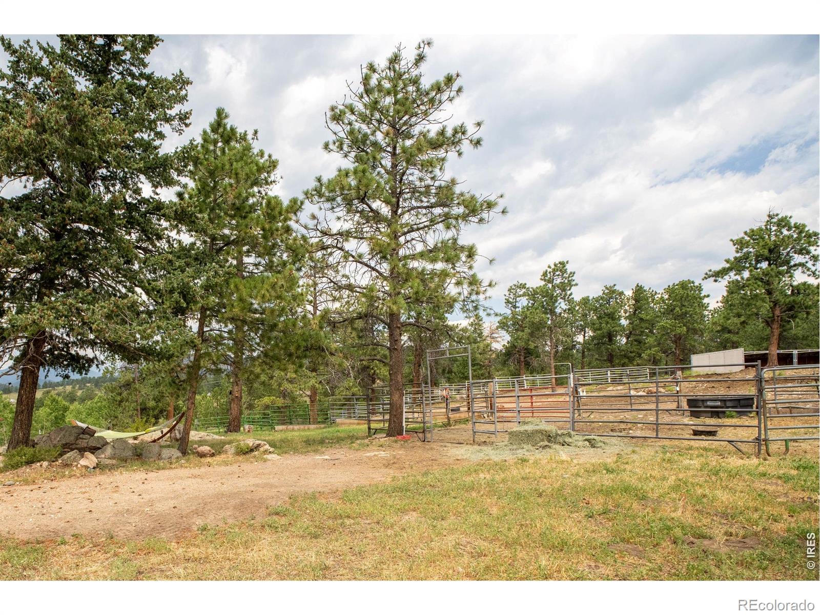 MLS Image #39 for 14534 s wandcrest drive,pine, Colorado