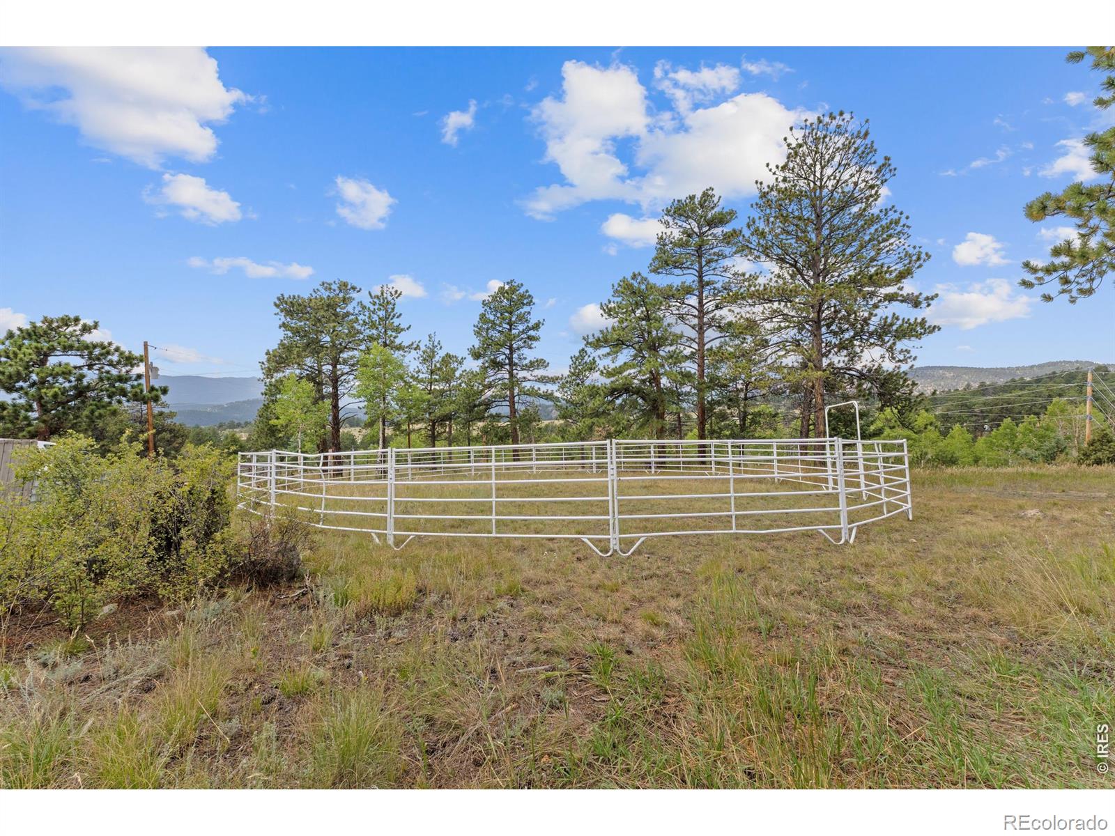 MLS Image #43 for 14534 s wandcrest drive,pine, Colorado
