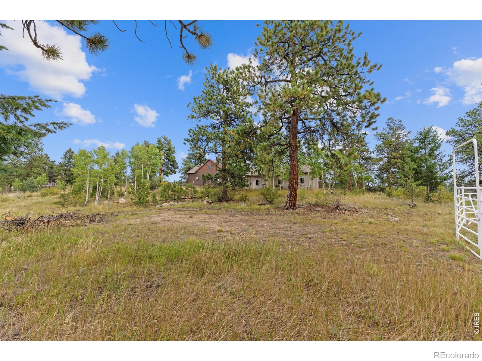 MLS Image #44 for 14534 s wandcrest drive,pine, Colorado