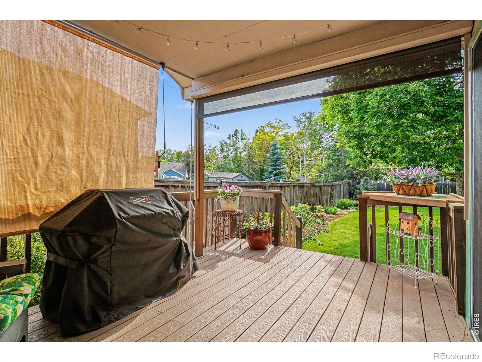 MLS Image #11 for 3847  cardiff court,loveland, Colorado
