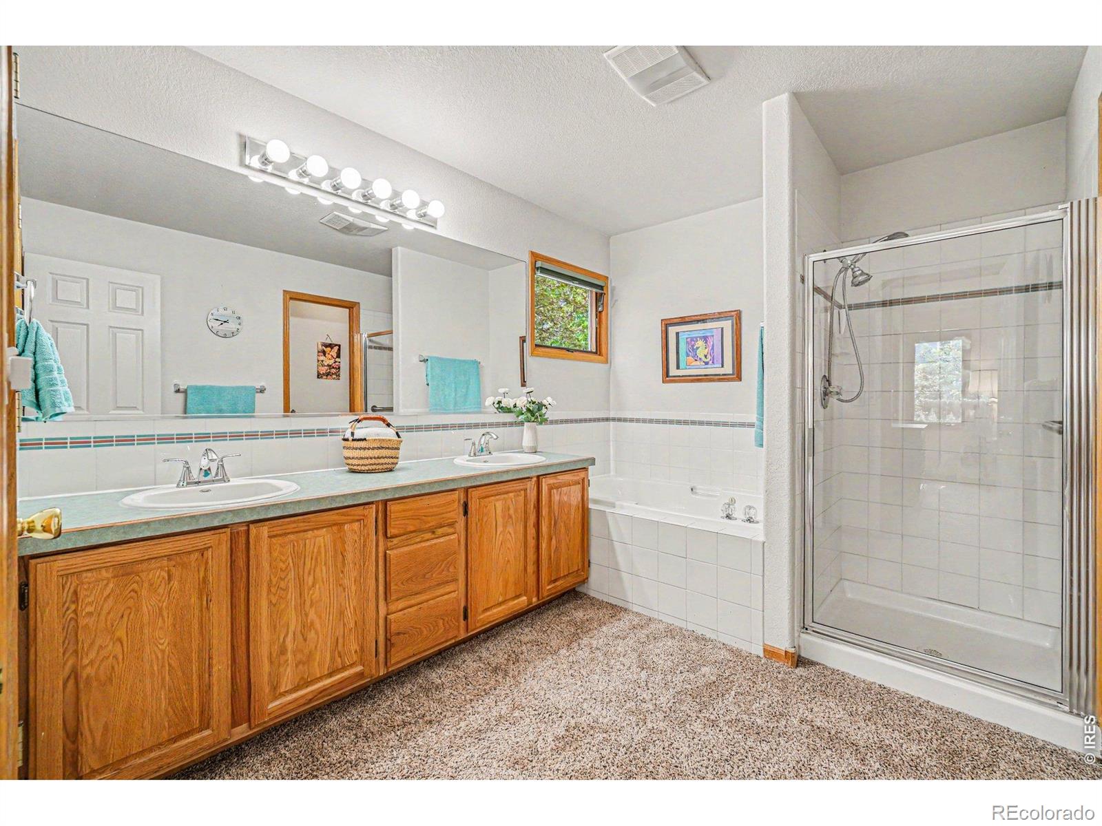 MLS Image #14 for 3847  cardiff court,loveland, Colorado