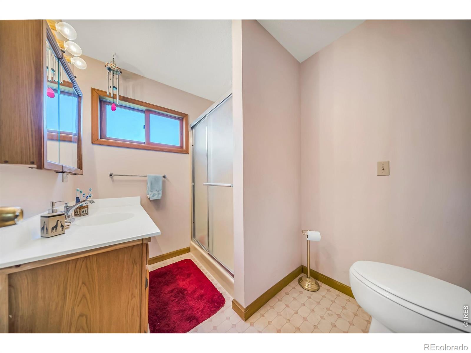 MLS Image #20 for 672  garfield street,walden, Colorado