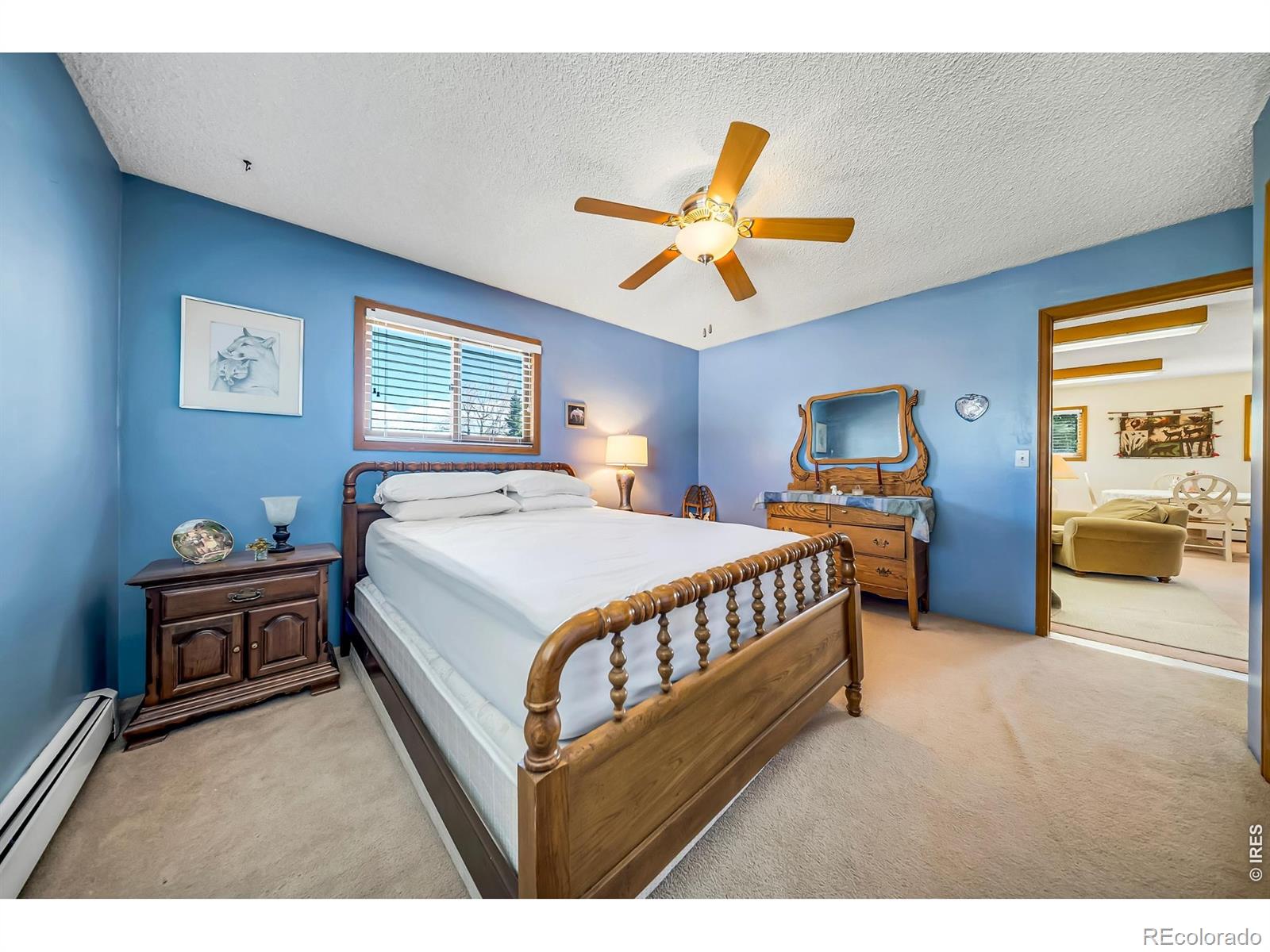 MLS Image #4 for 672  garfield street,walden, Colorado