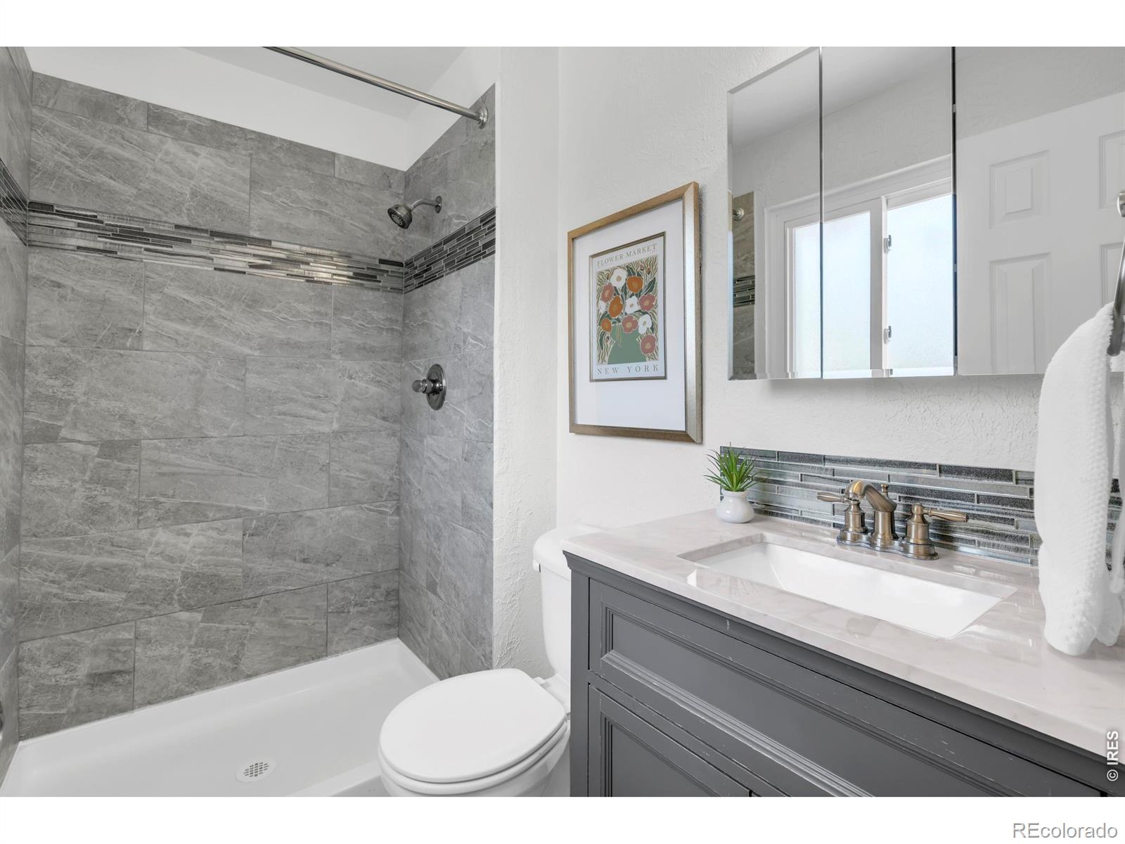 MLS Image #13 for 9160  carr court,westminster, Colorado