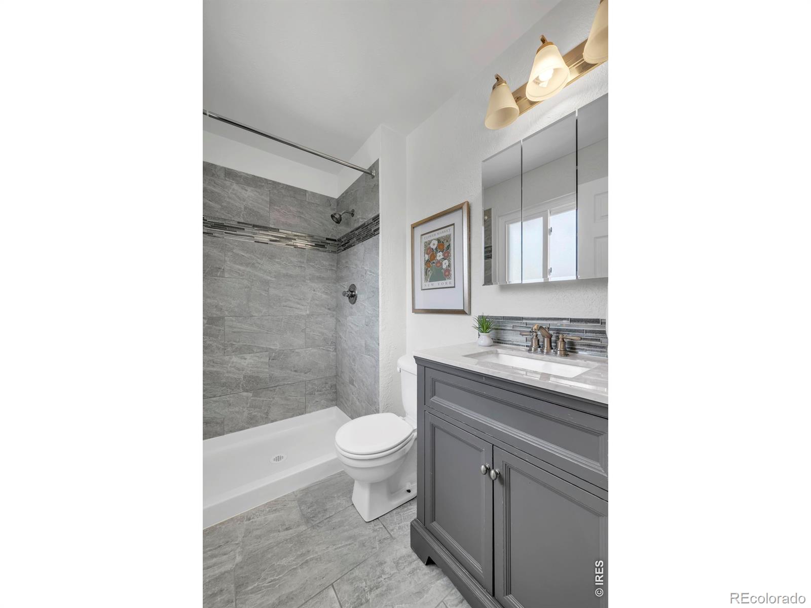 MLS Image #14 for 9160  carr court,westminster, Colorado