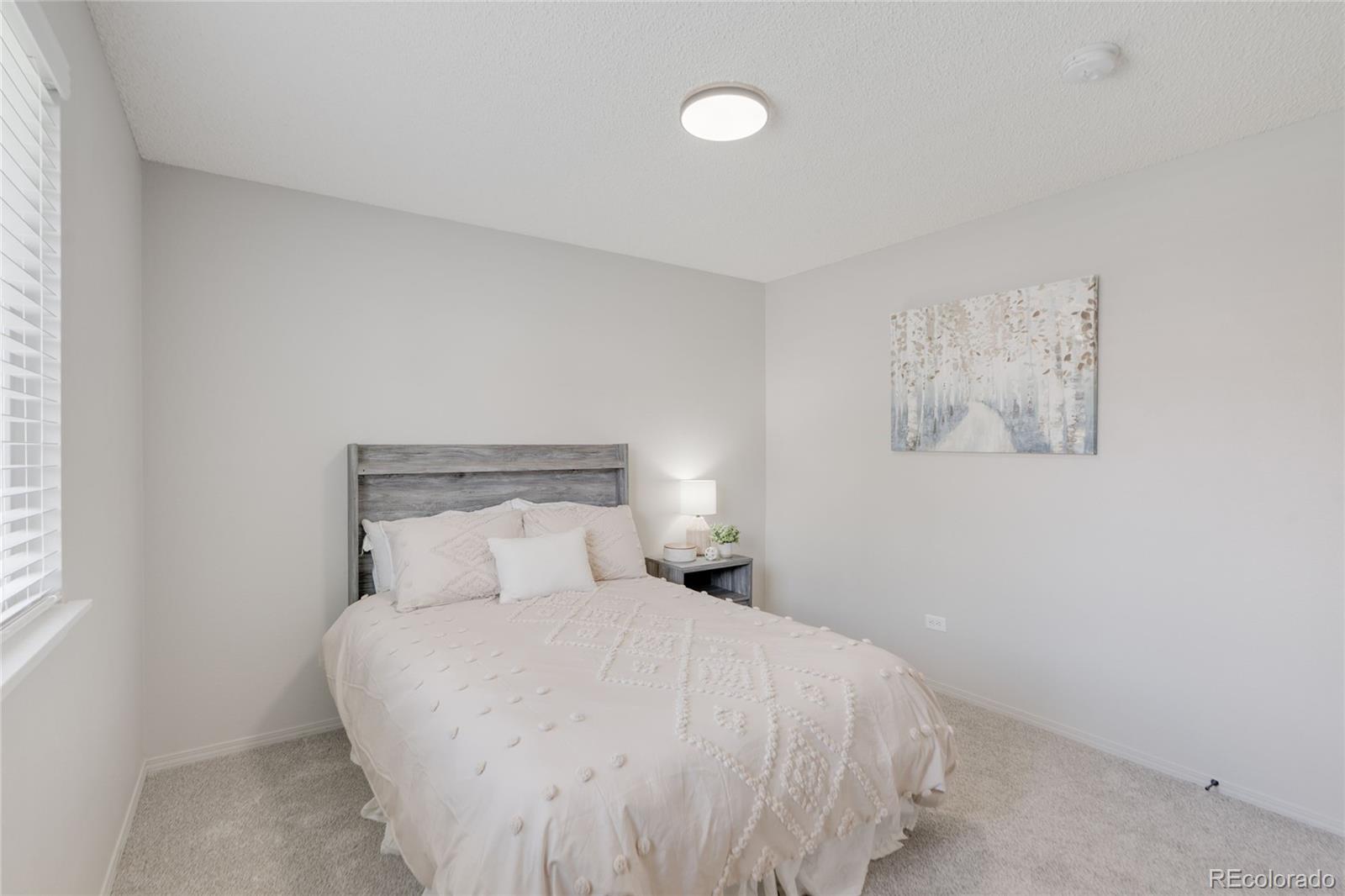 MLS Image #26 for 6723 e 123rd place,brighton, Colorado