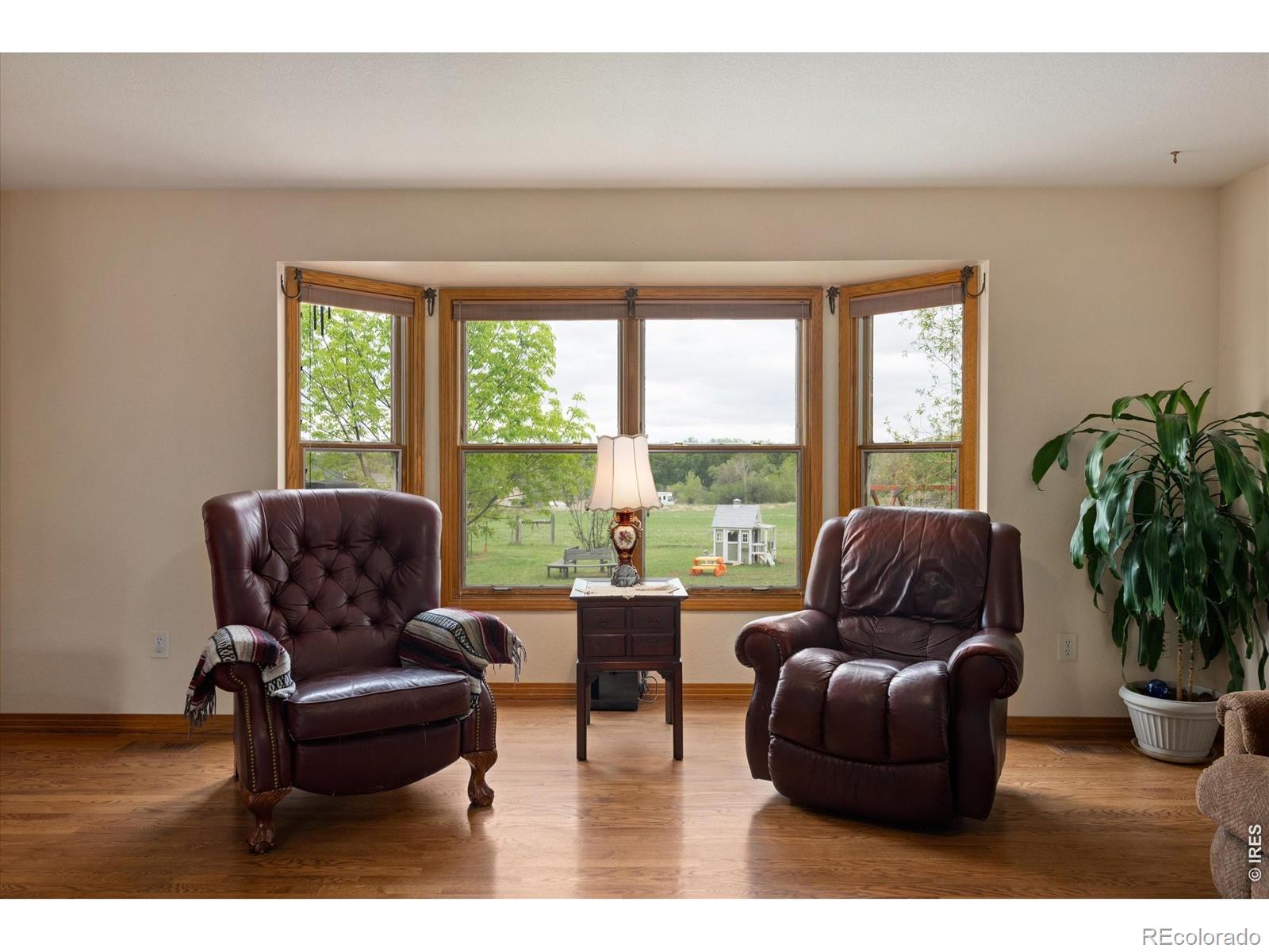 MLS Image #19 for 6206  fox tail court,loveland, Colorado