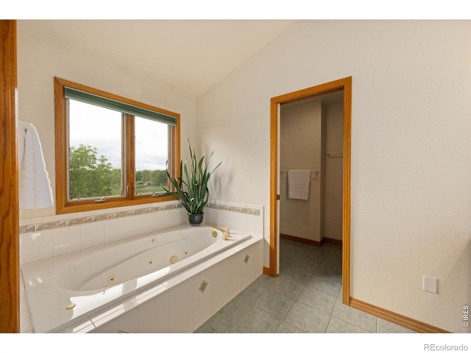 MLS Image #24 for 6206  fox tail court,loveland, Colorado
