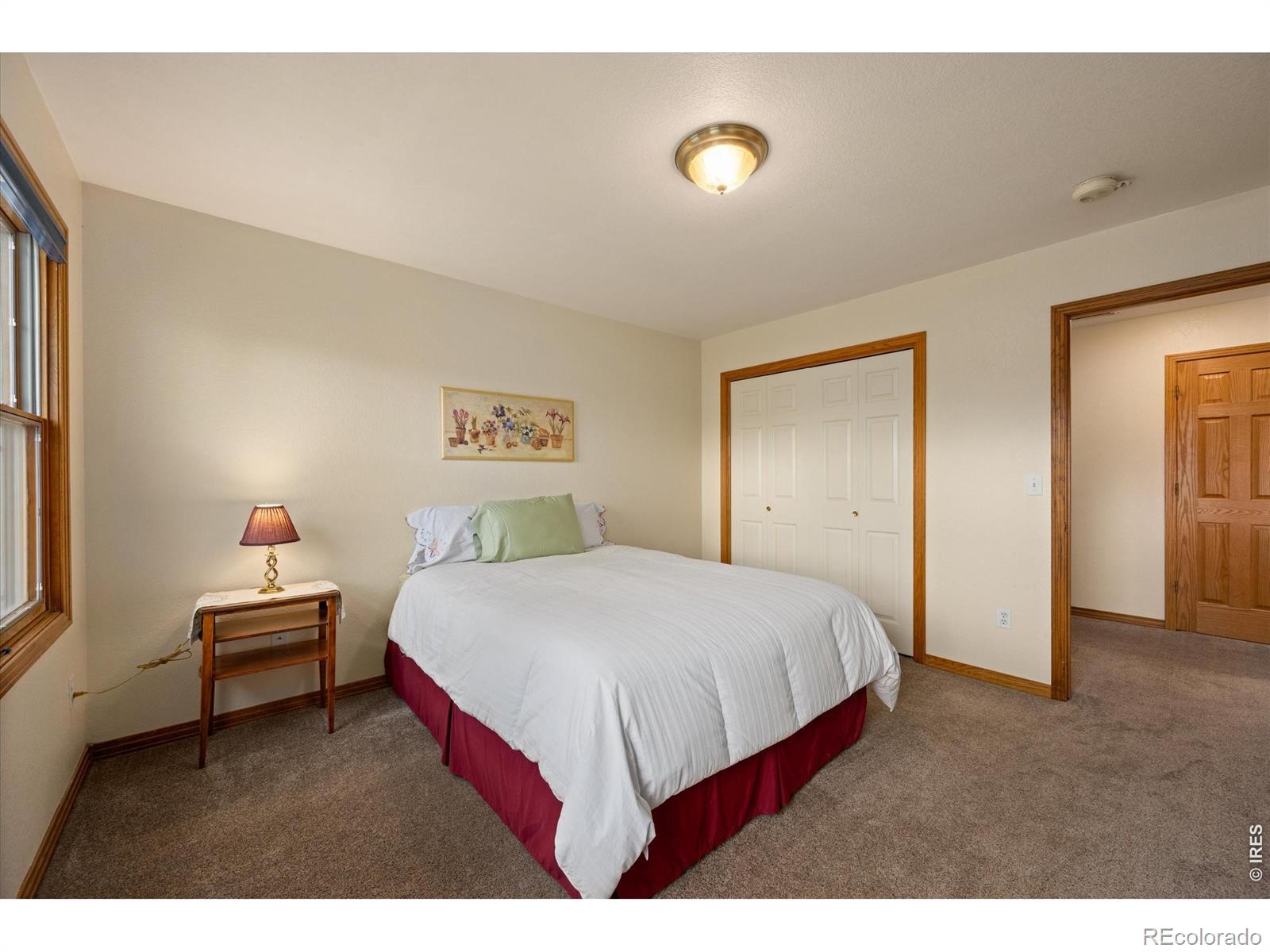 MLS Image #27 for 6206  fox tail court,loveland, Colorado