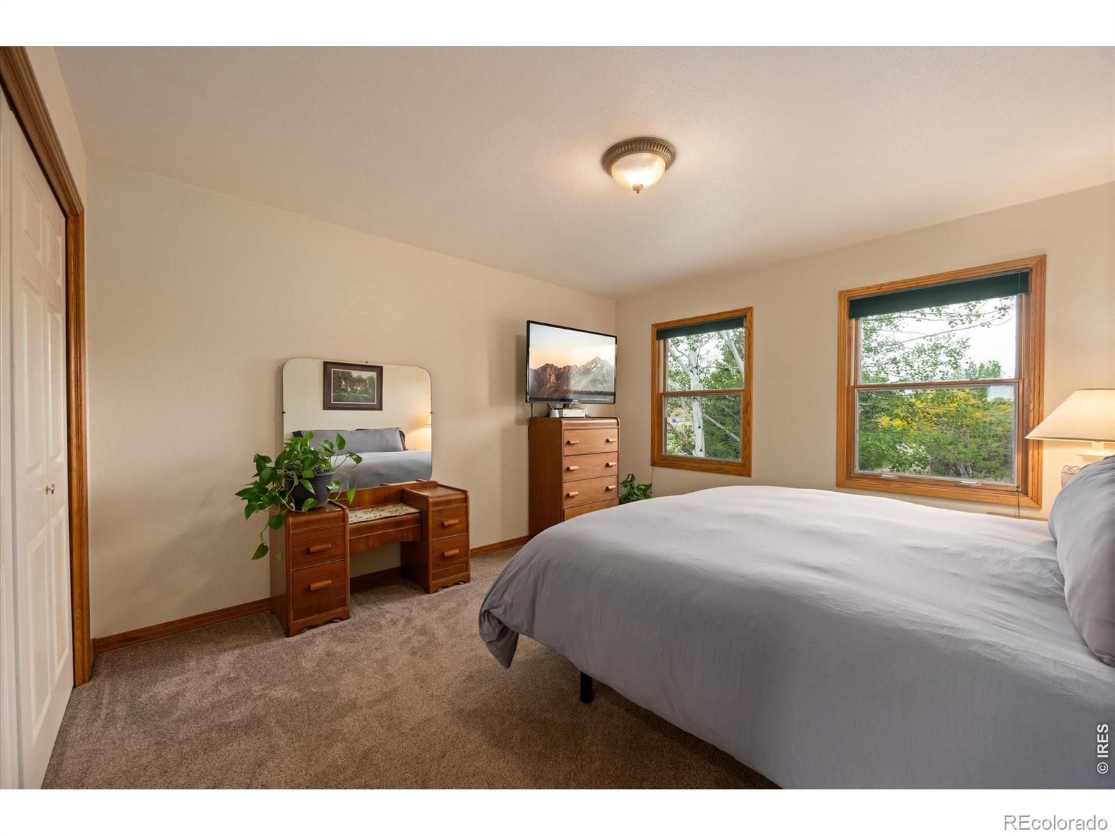 MLS Image #28 for 6206  fox tail court,loveland, Colorado