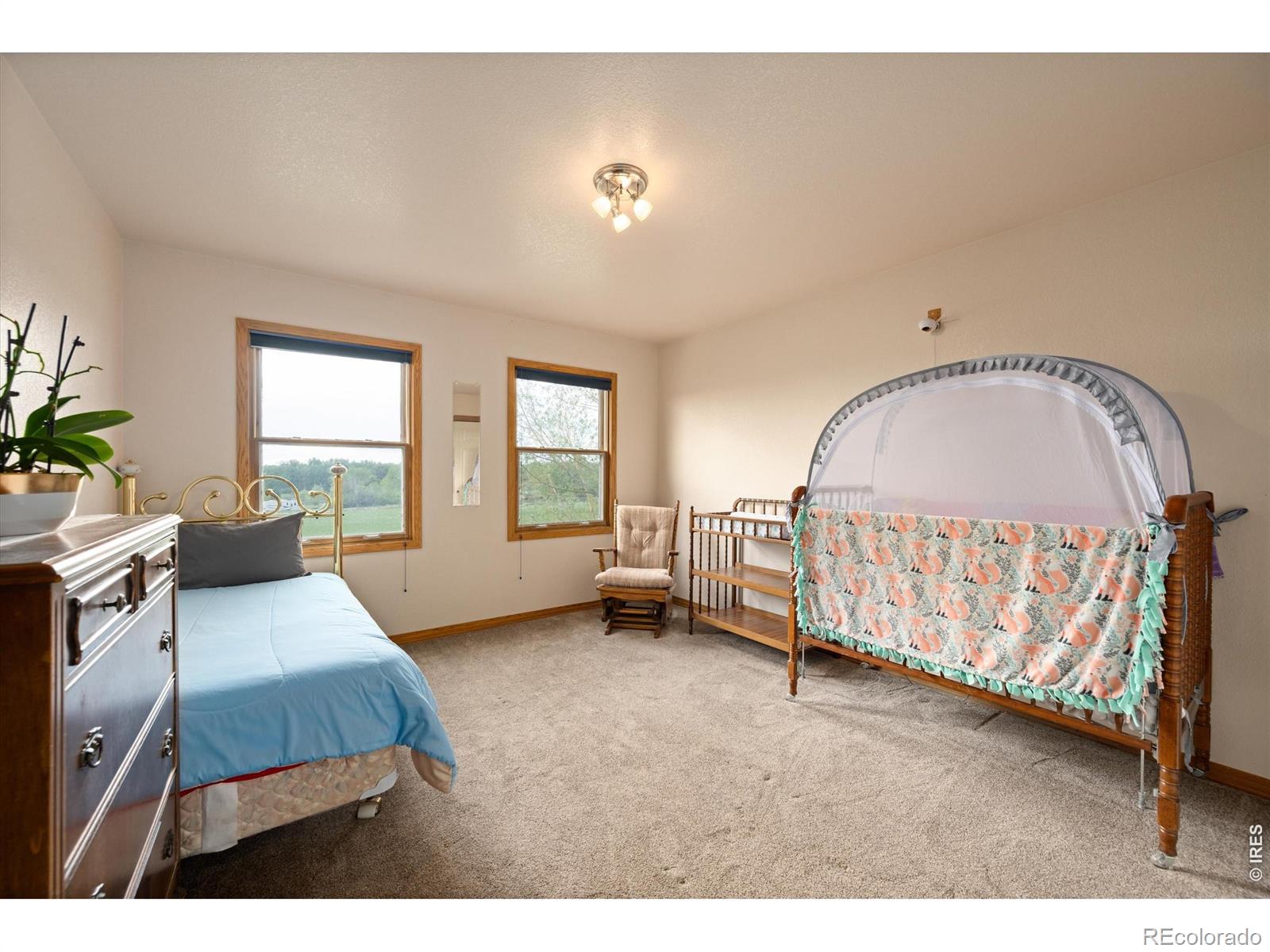 MLS Image #30 for 6206  fox tail court,loveland, Colorado