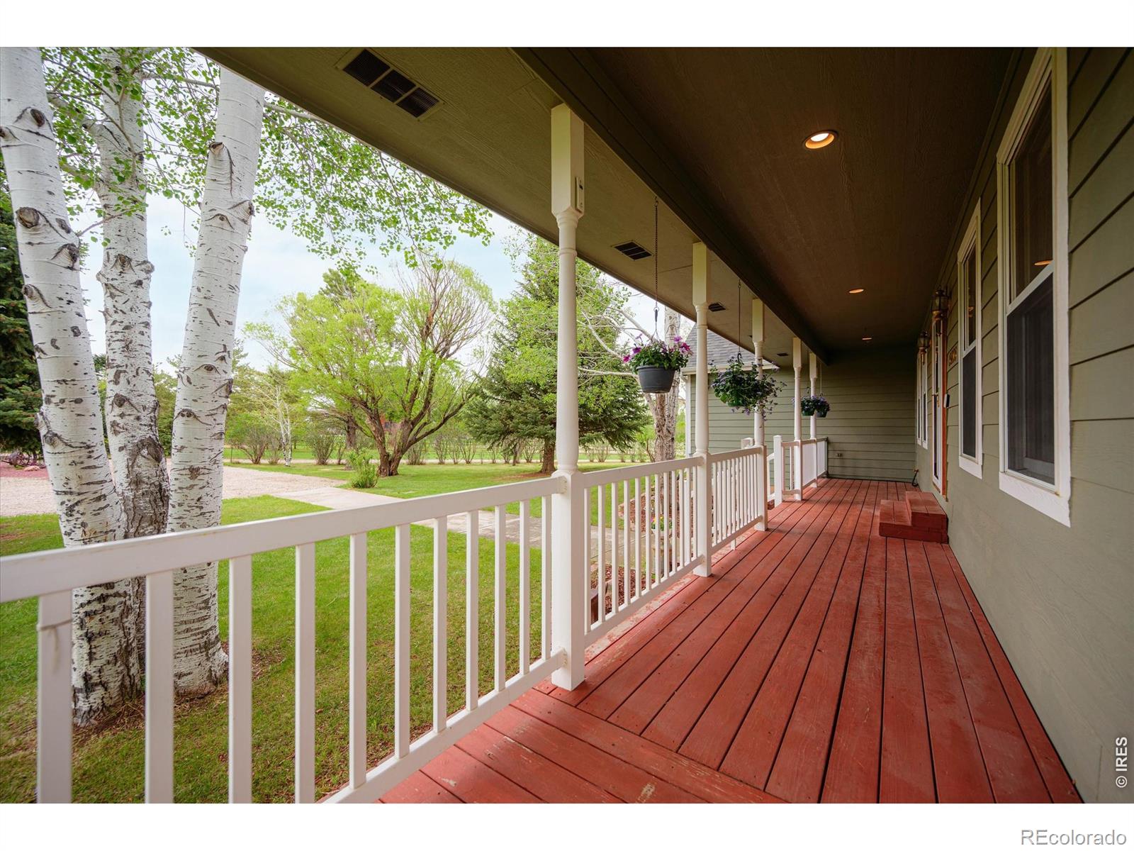 MLS Image #4 for 6206  fox tail court,loveland, Colorado