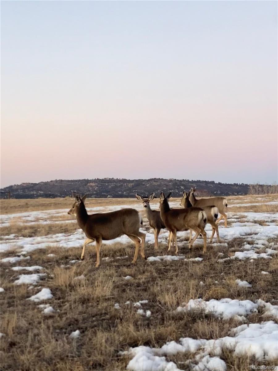 MLS Image #48 for 5023  mountain meadow trail,castle rock, Colorado