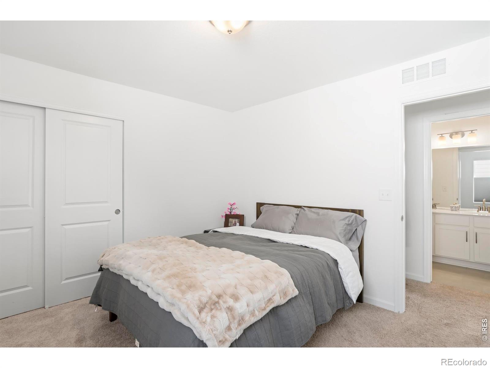 MLS Image #10 for 2905 s flat circle,longmont, Colorado